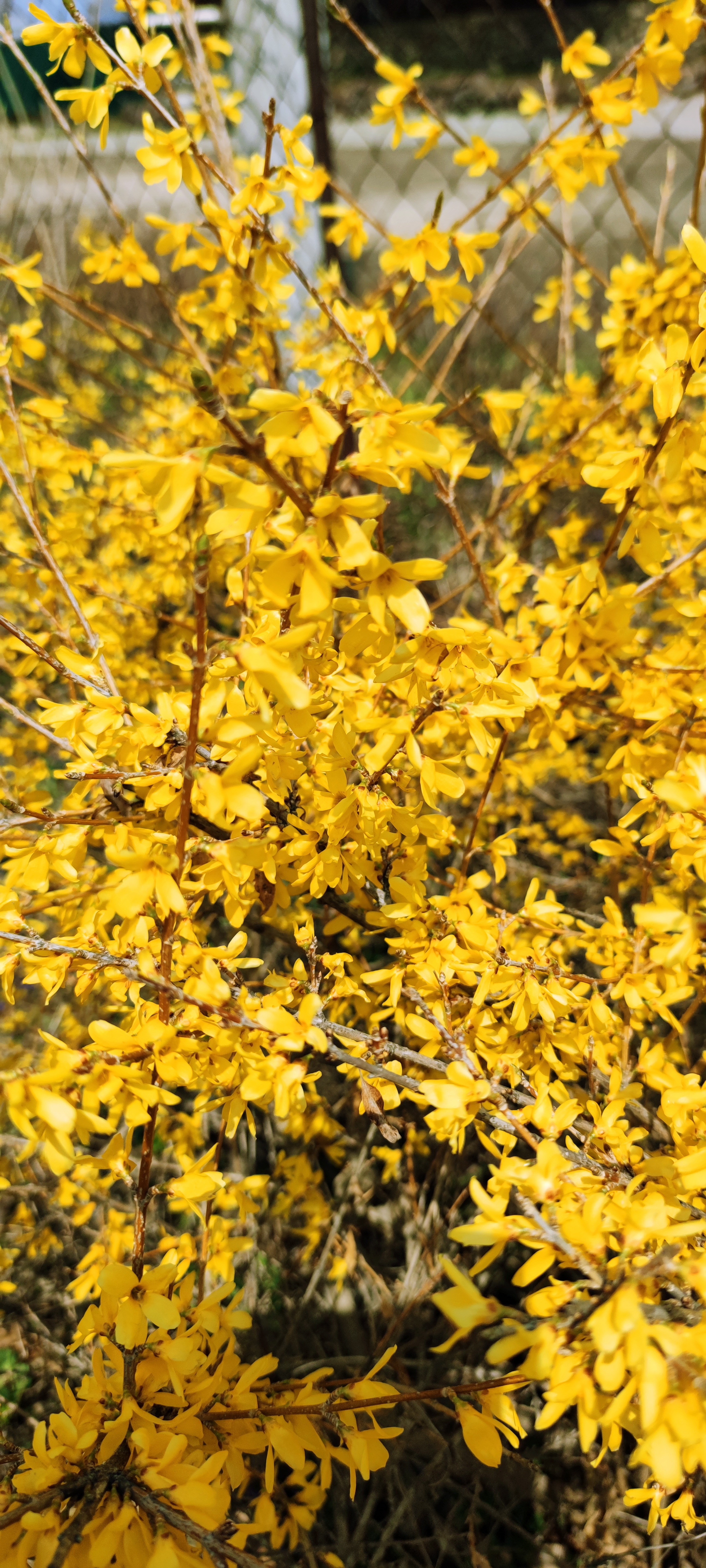 Первый слайд