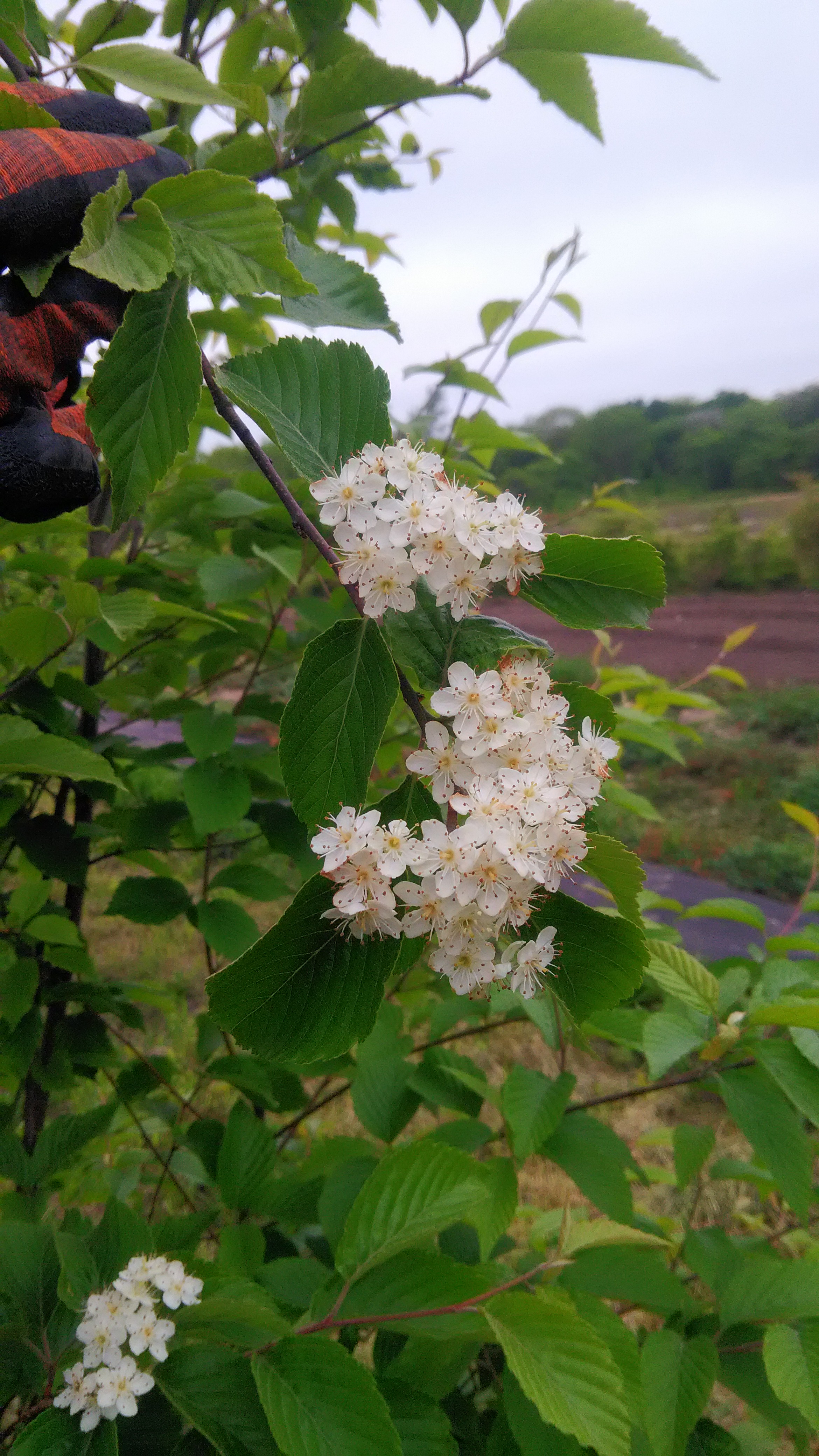 Первый слайд
