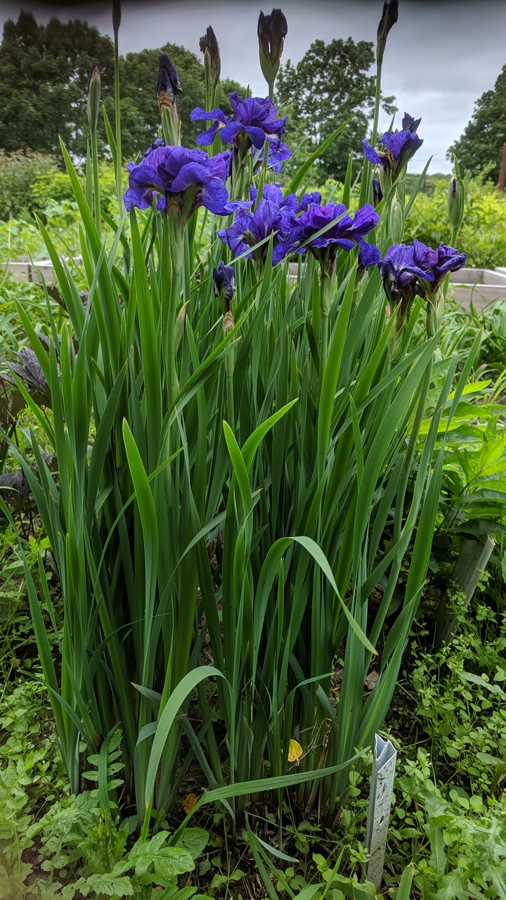 Первый слайд