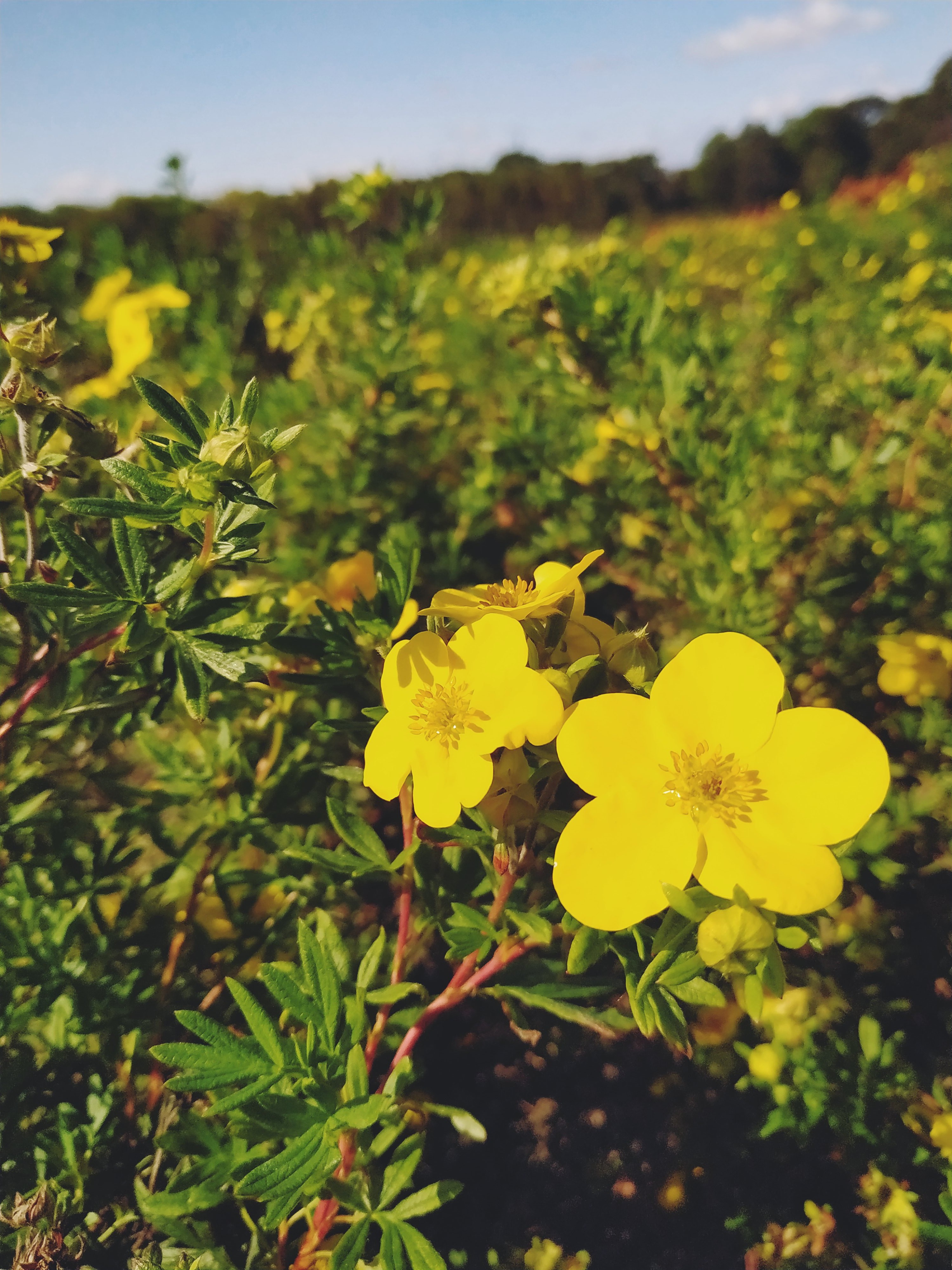Первый слайд