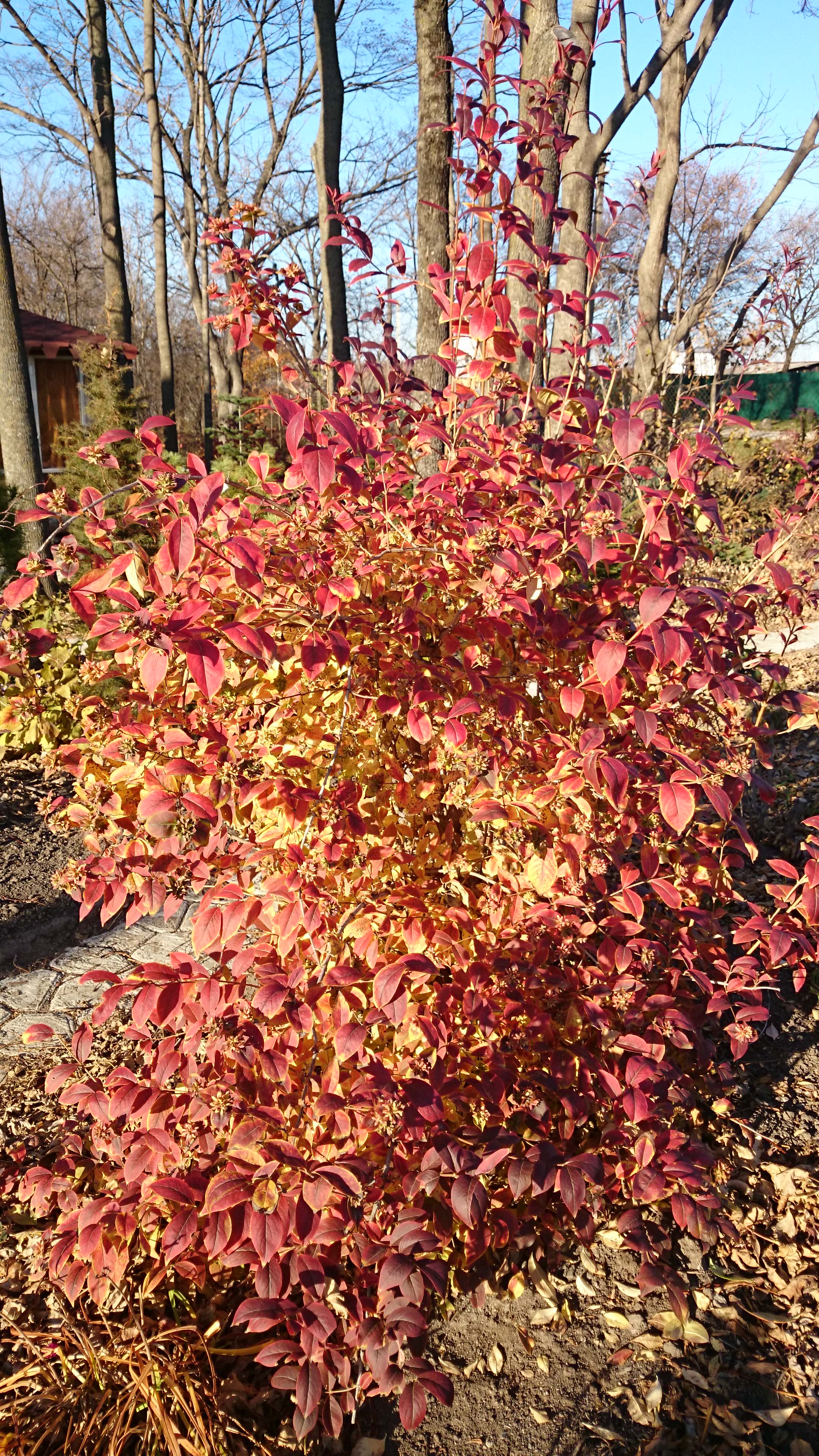 Первый слайд