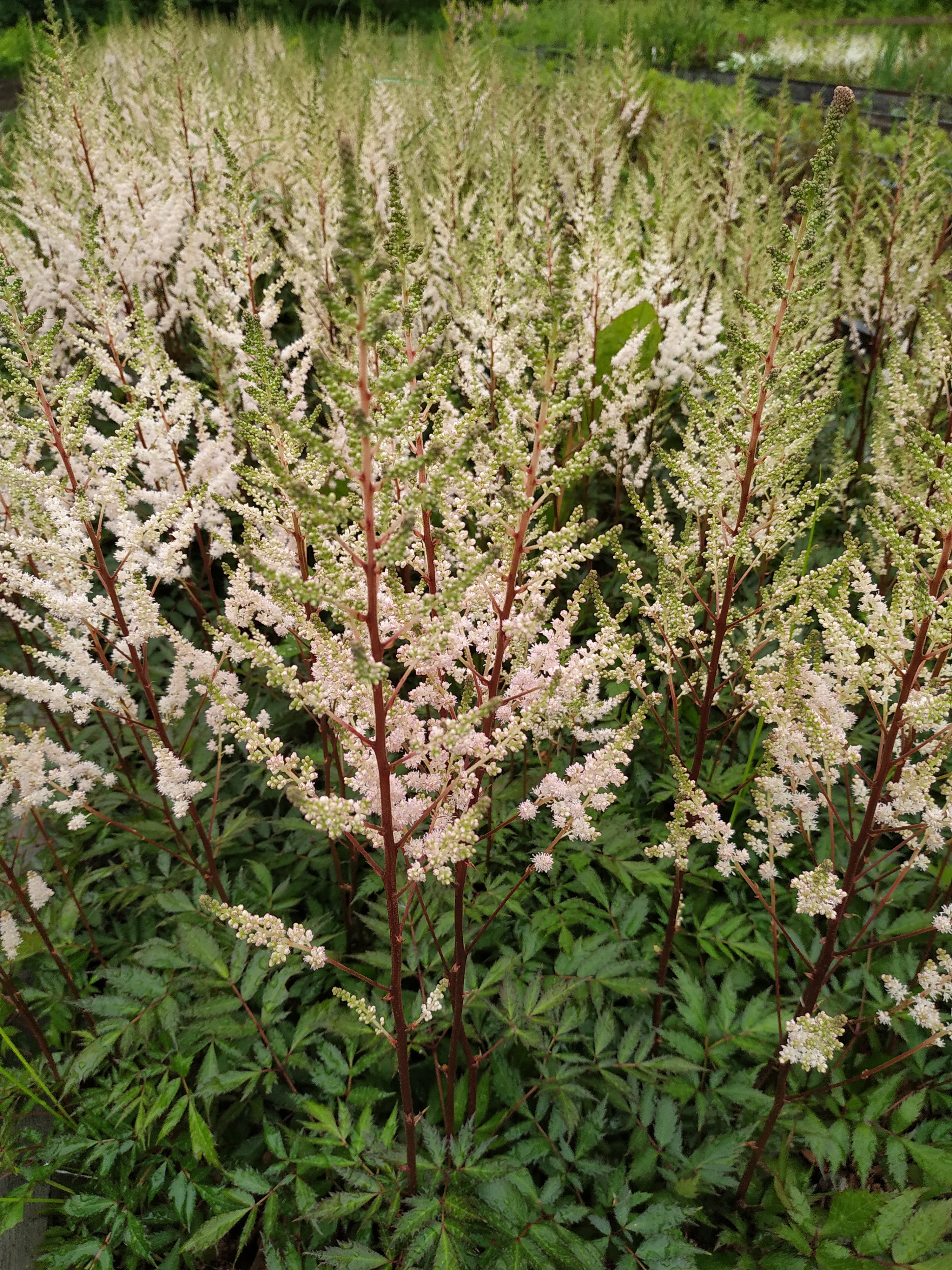 Первый слайд