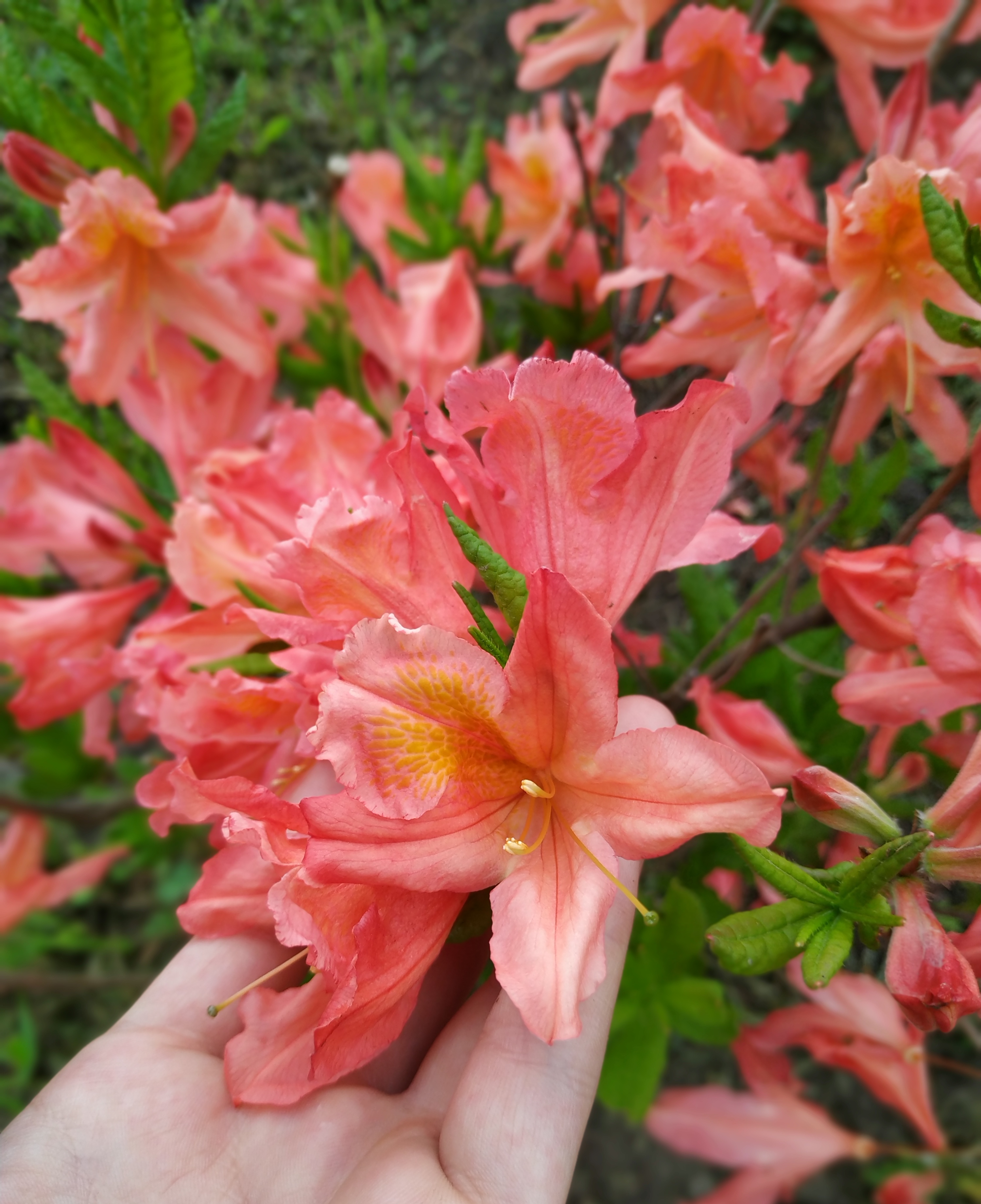 Первый слайд