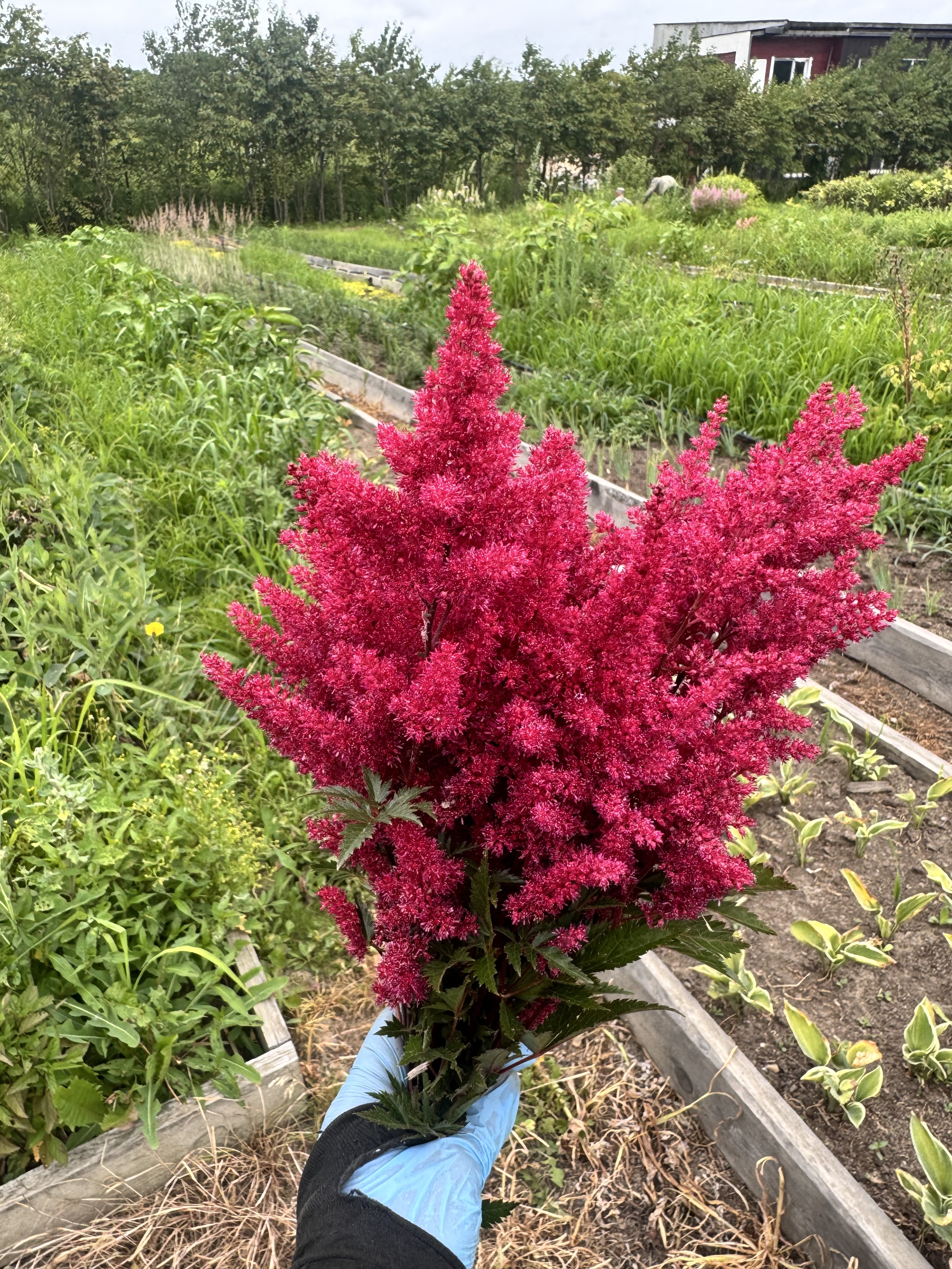 Первый слайд