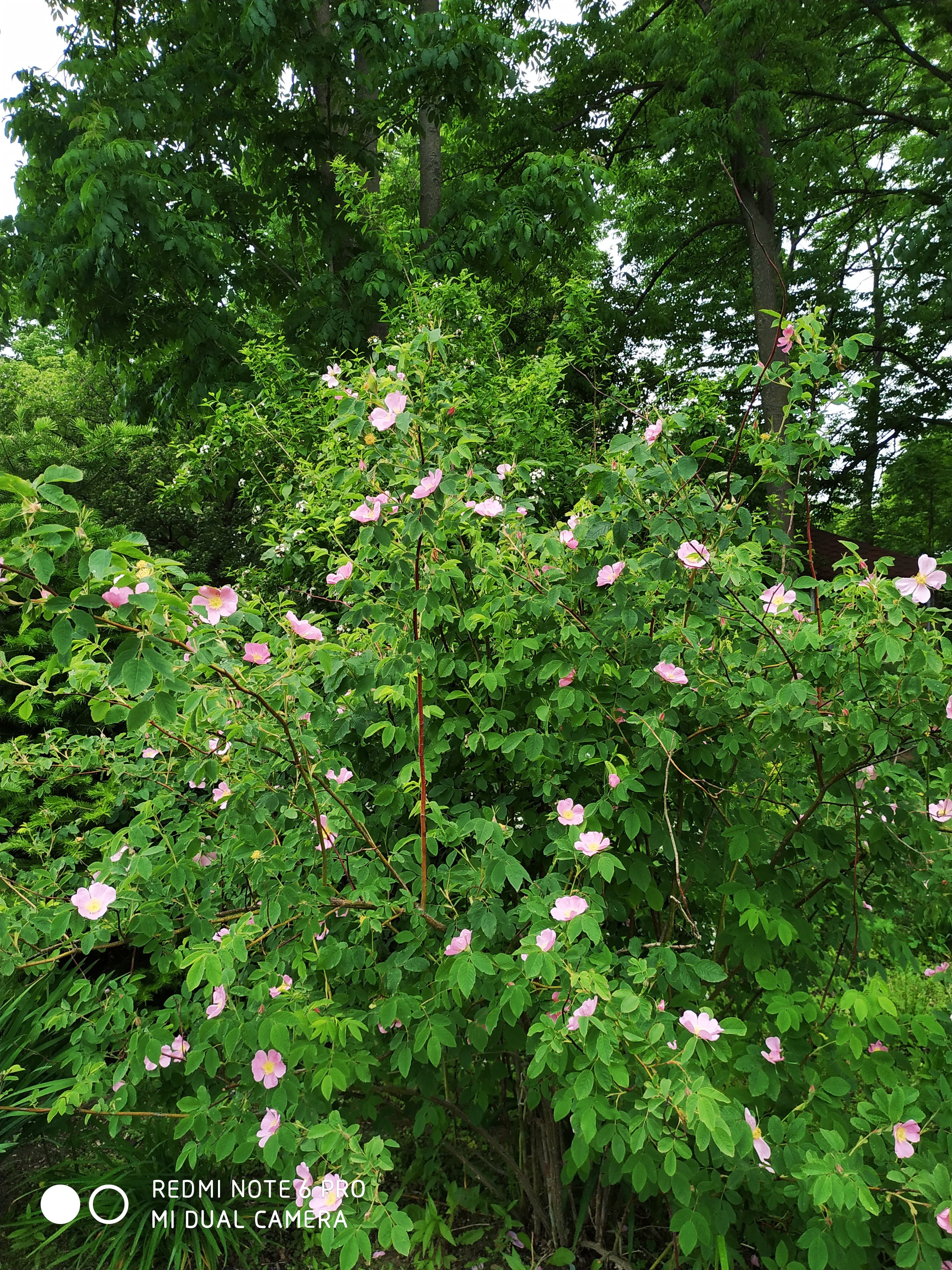Первый слайд