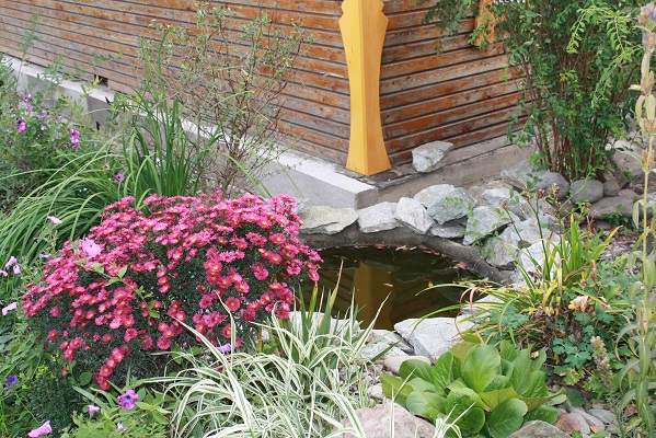 Первый слайд