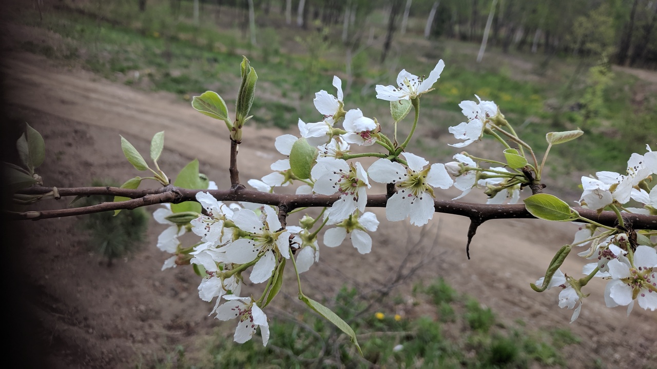 Первый слайд