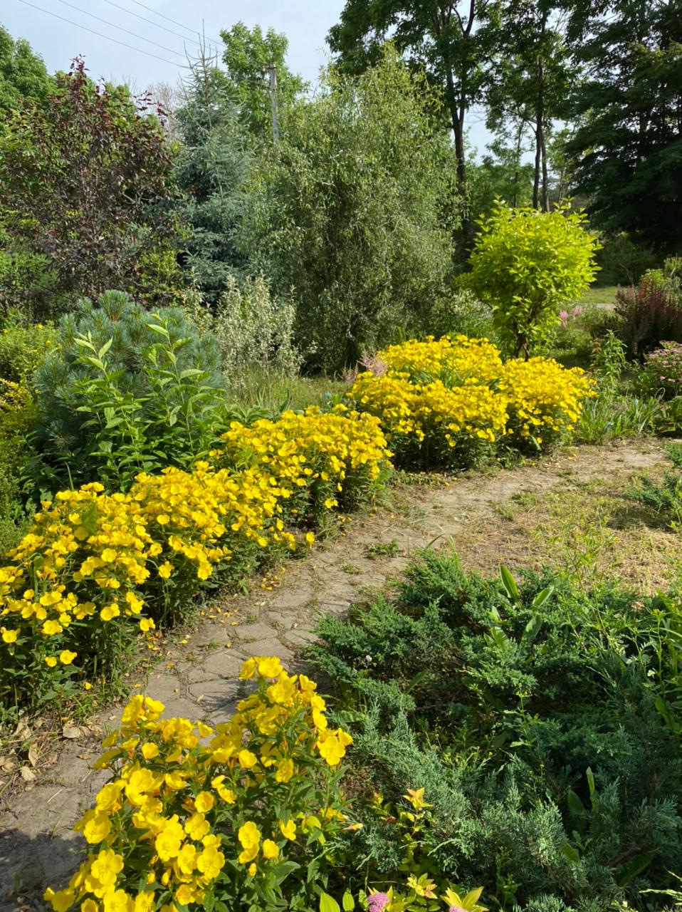 Первый слайд