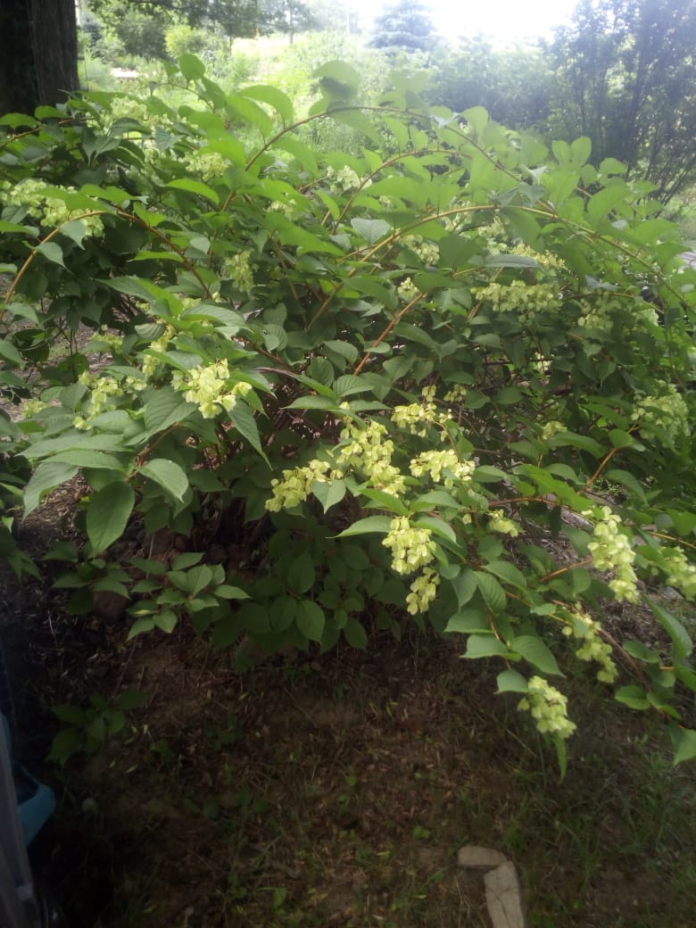 Первый слайд