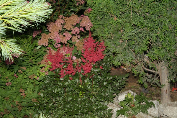 Первый слайд