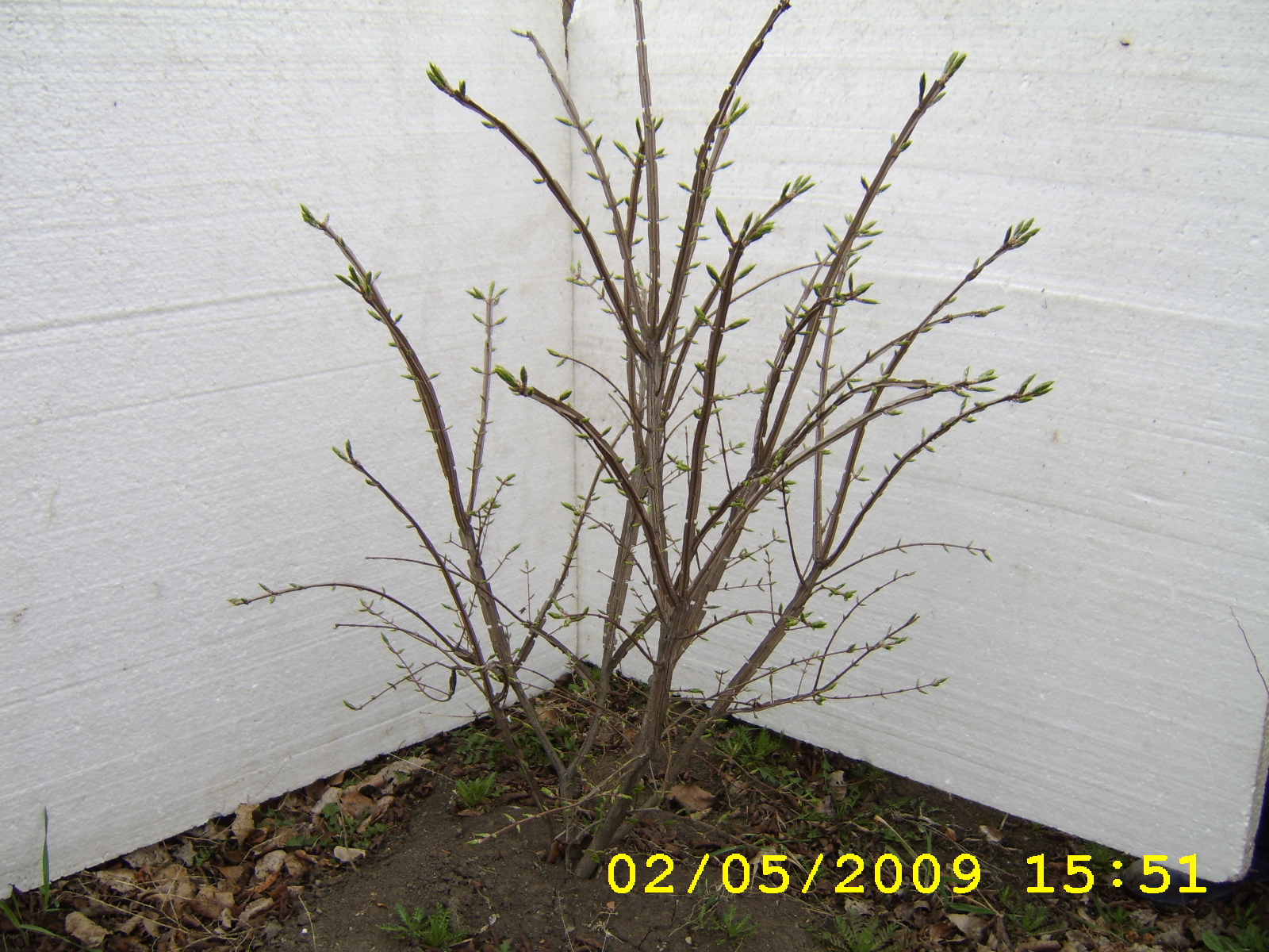 Первый слайд