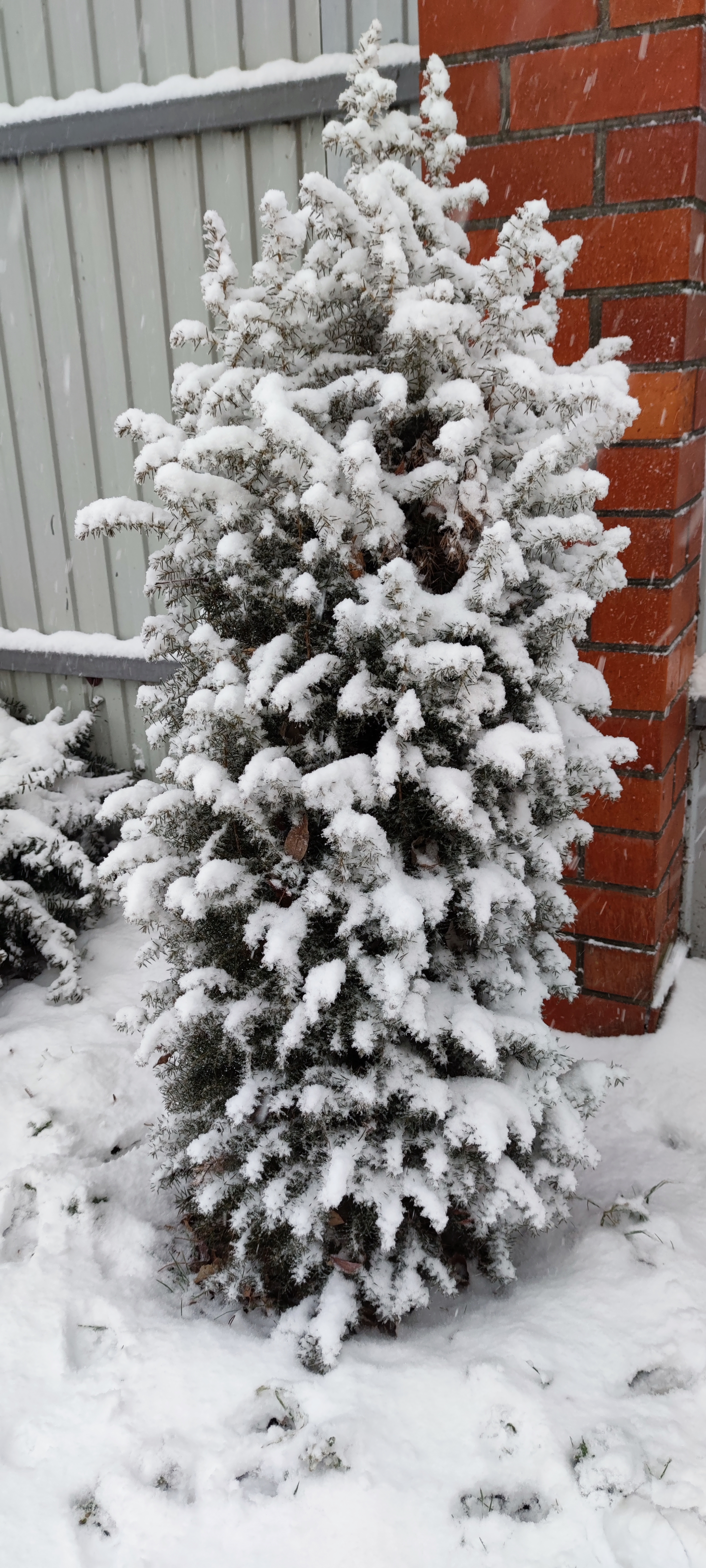 Первый слайд