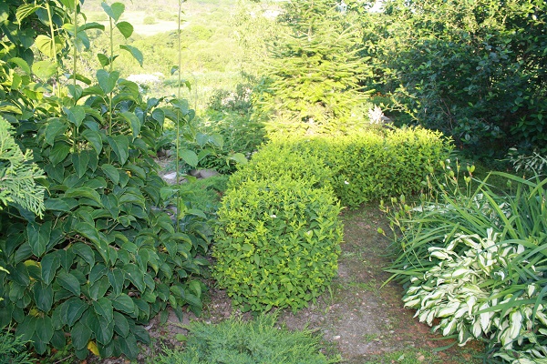 Первый слайд