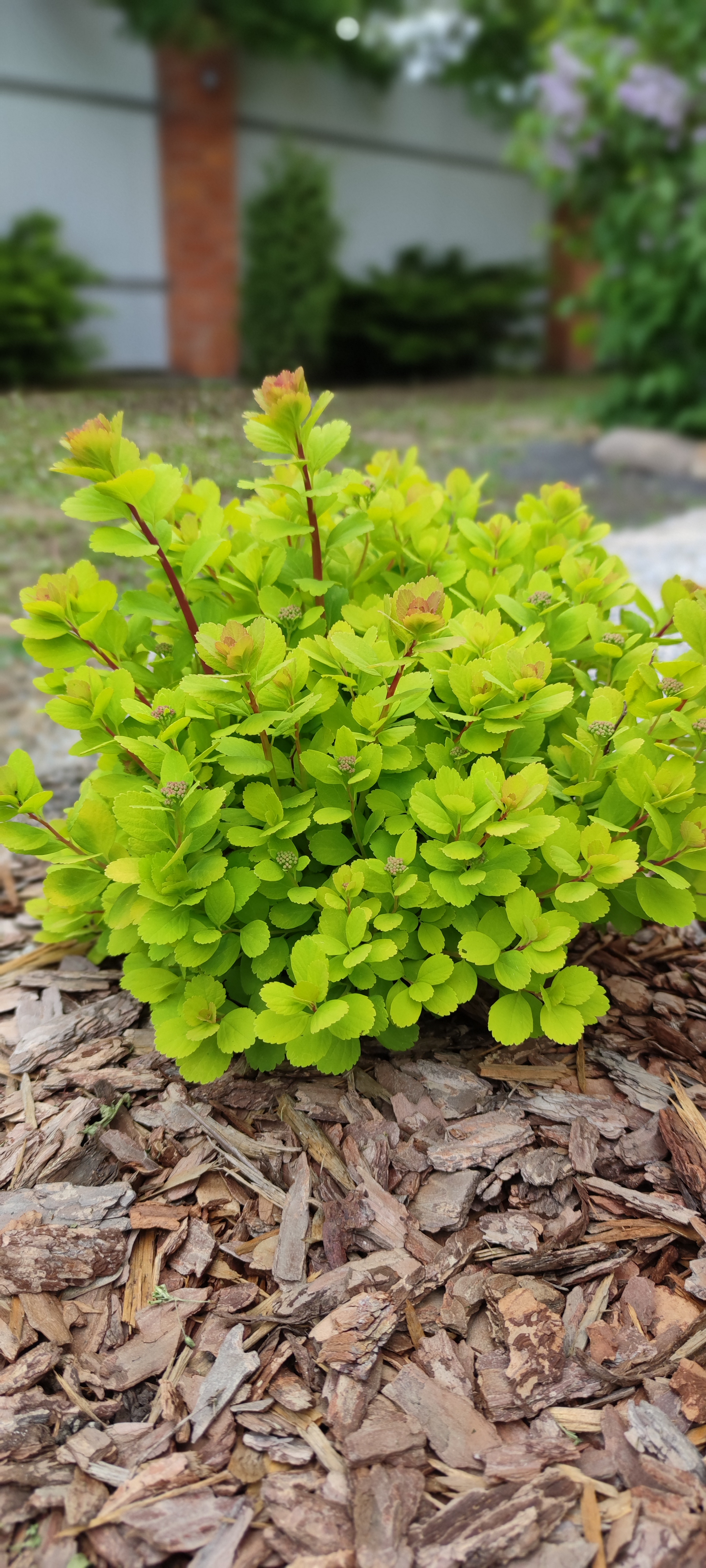 Первый слайд