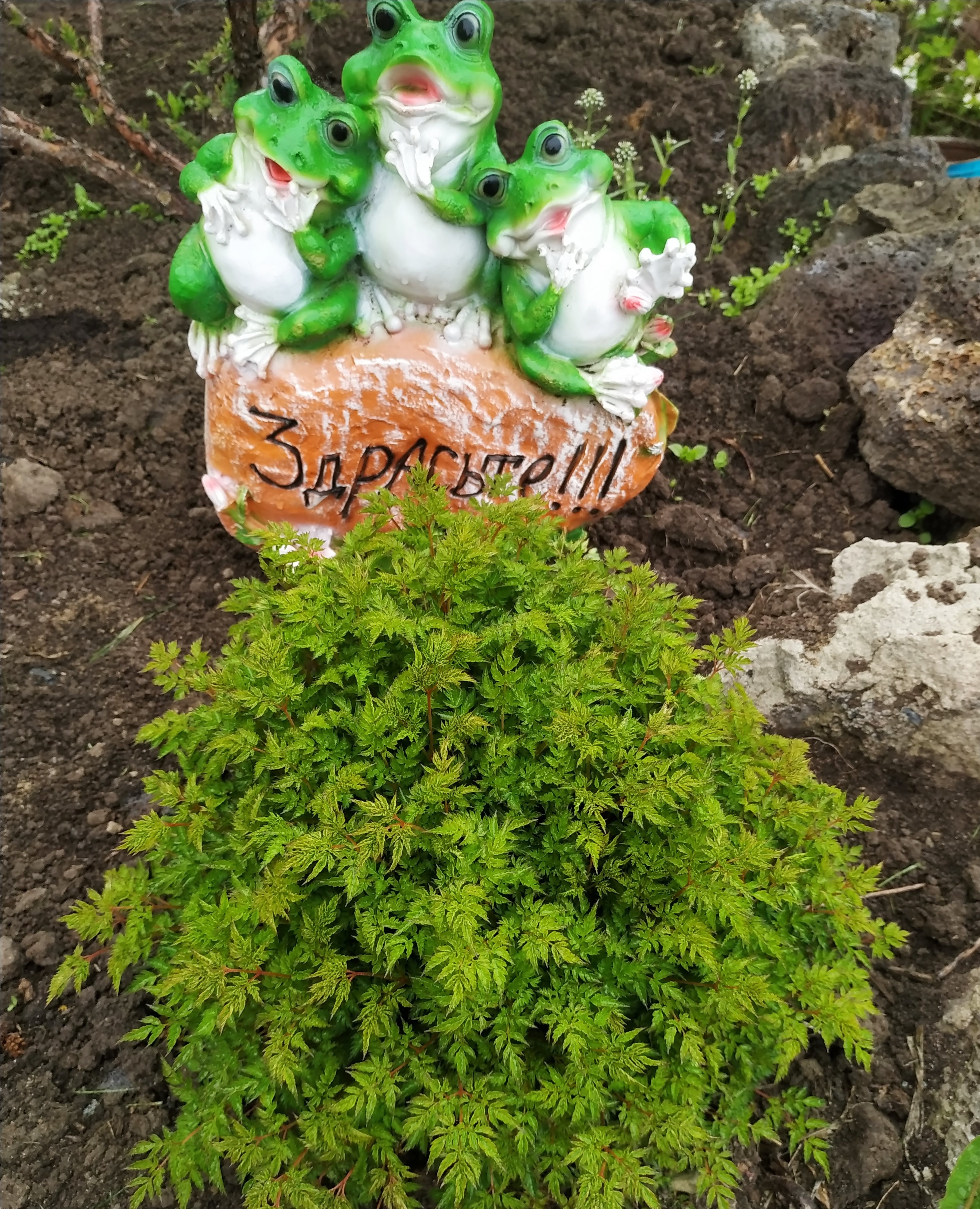 Первый слайд