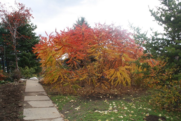 Первый слайд