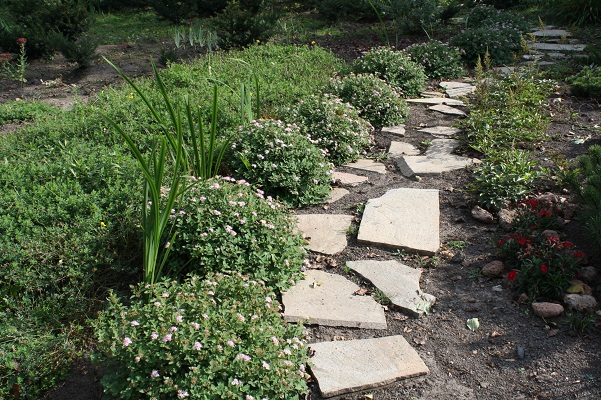 Первый слайд