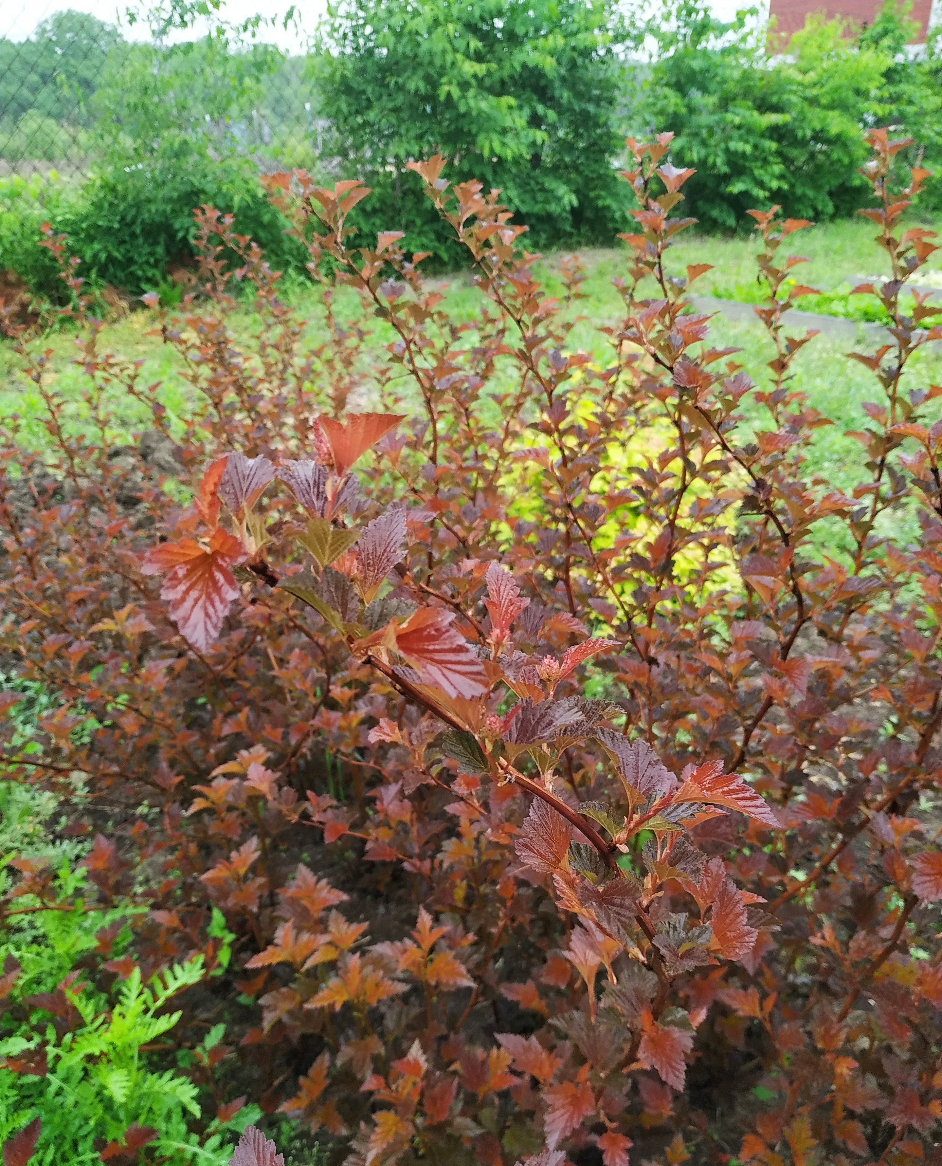 Первый слайд