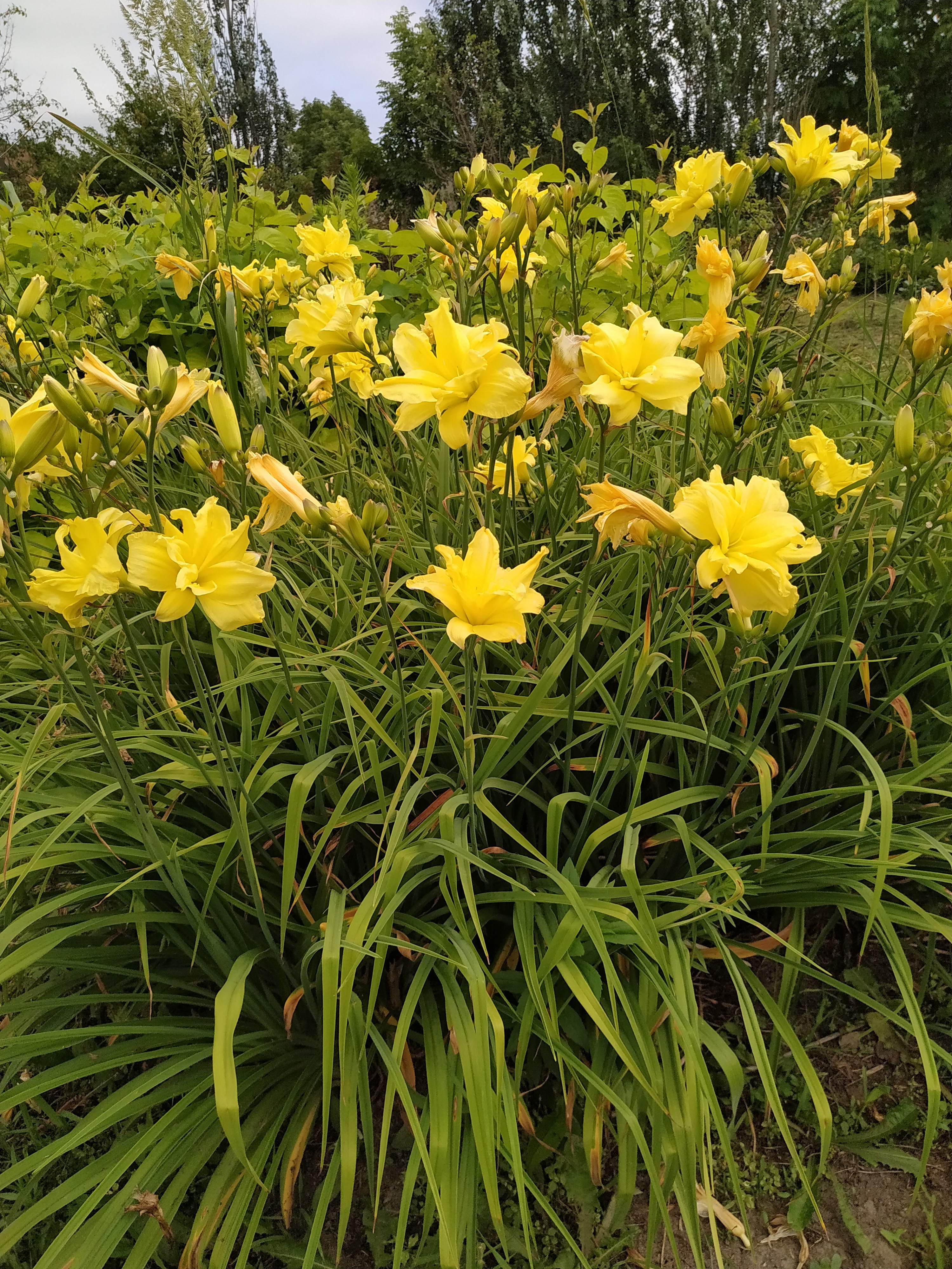 Первый слайд