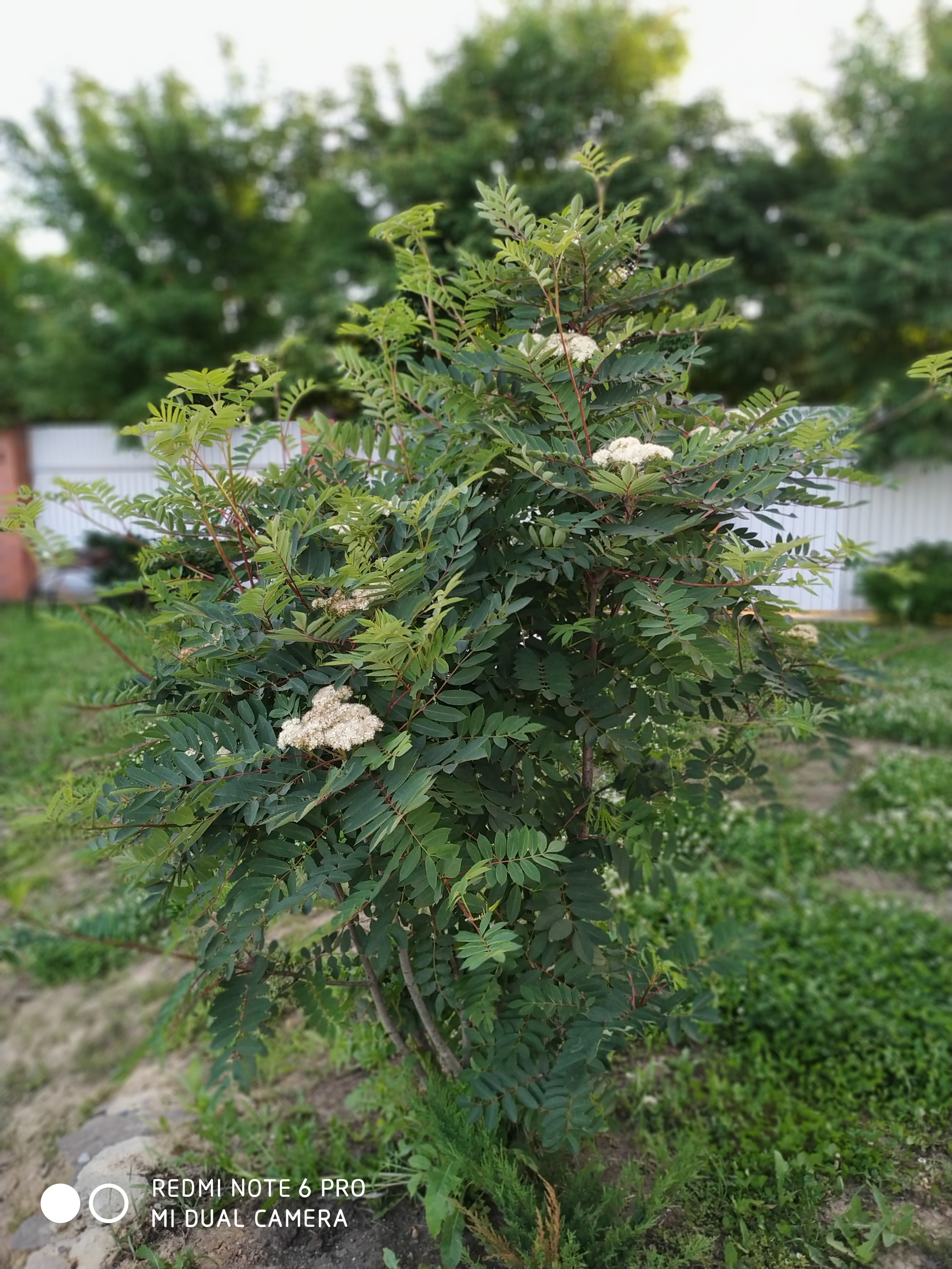 Первый слайд