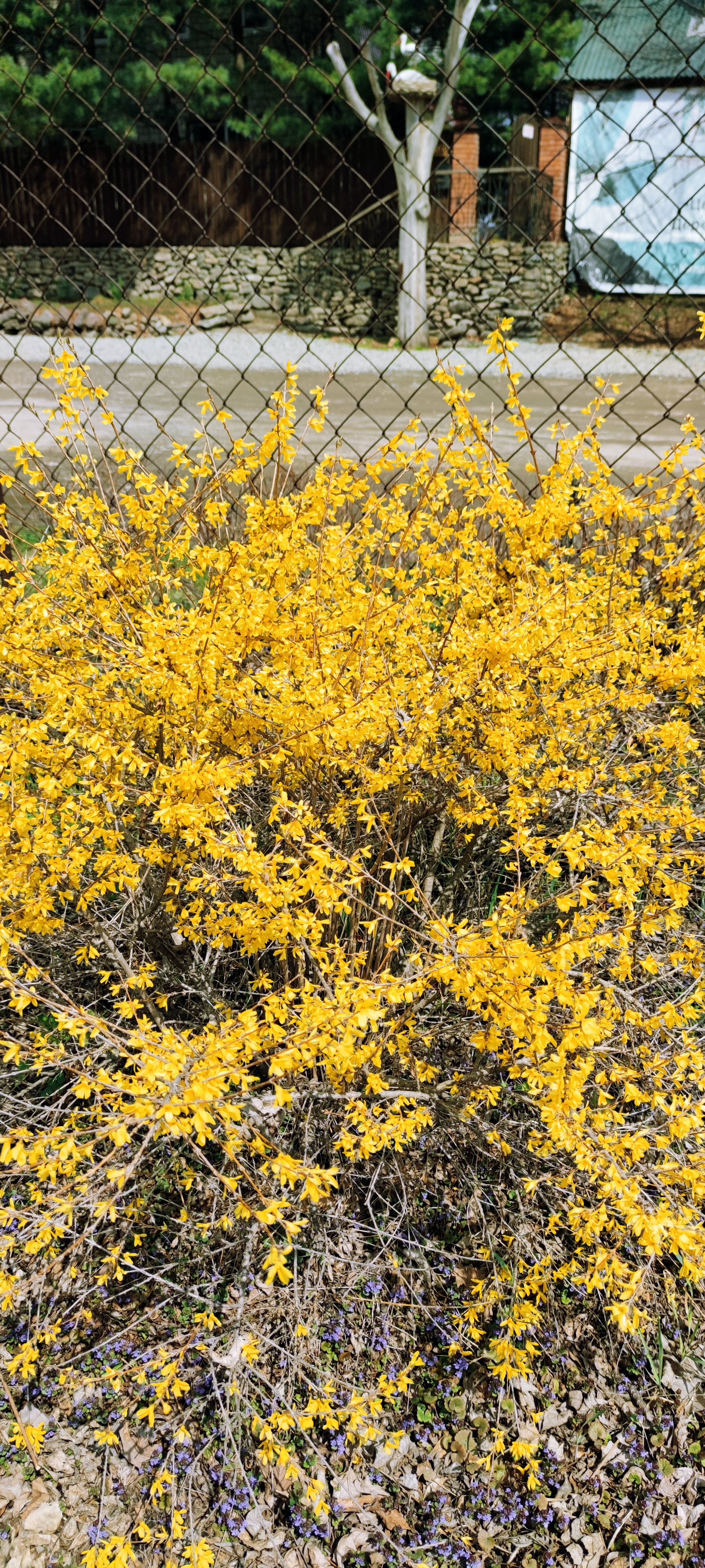 Первый слайд