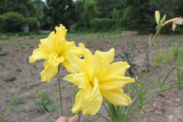 Первый слайд