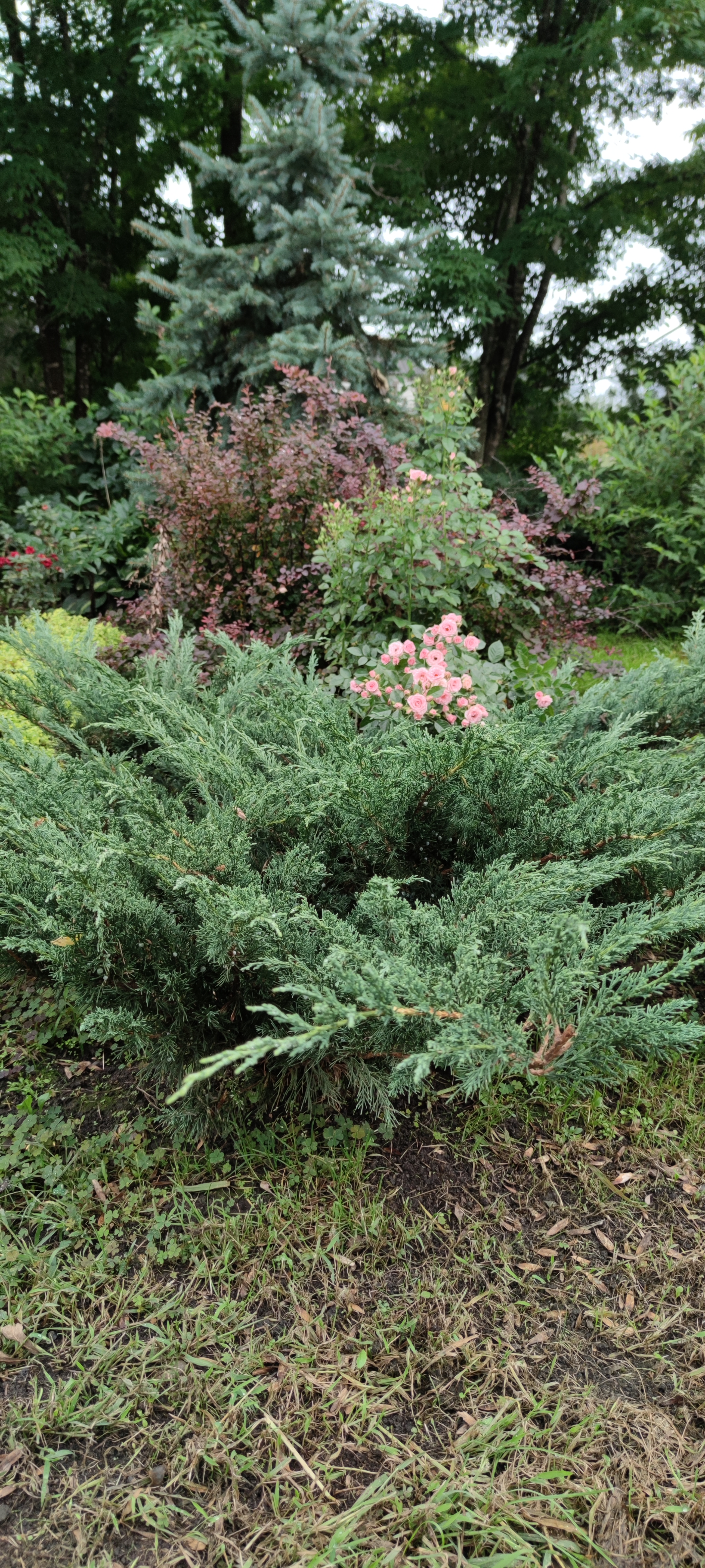 Первый слайд