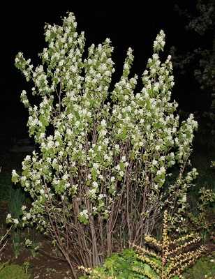 Первый слайд