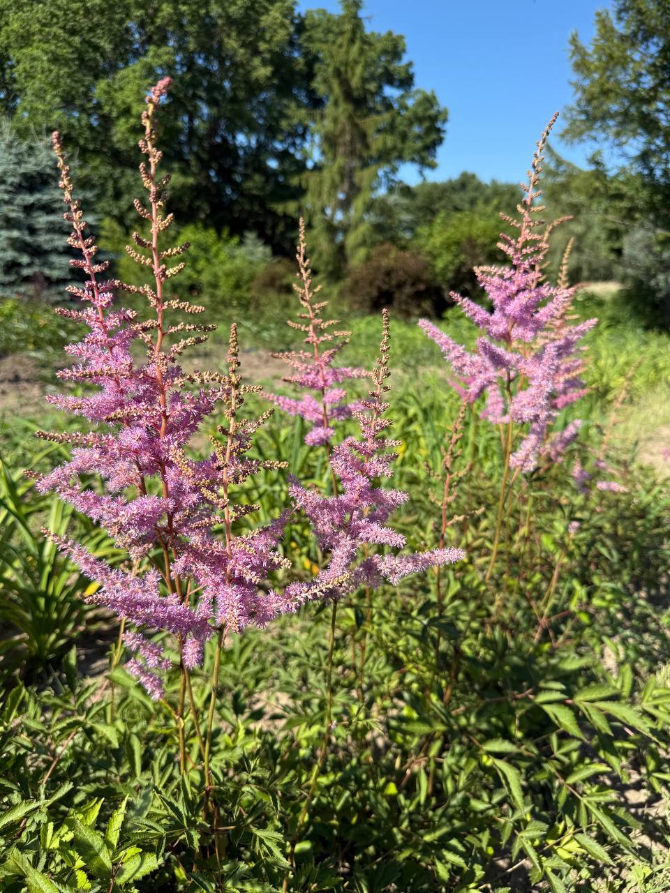 Первый слайд