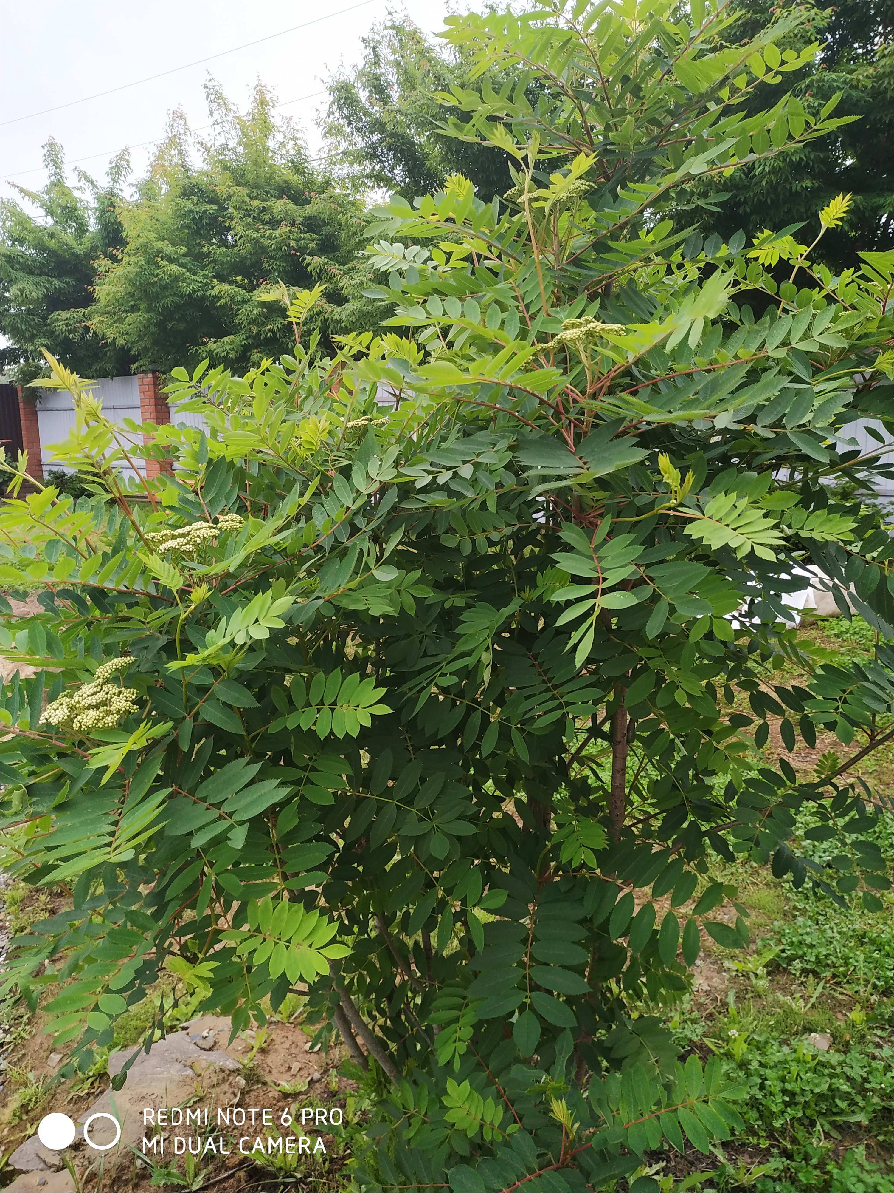 Первый слайд