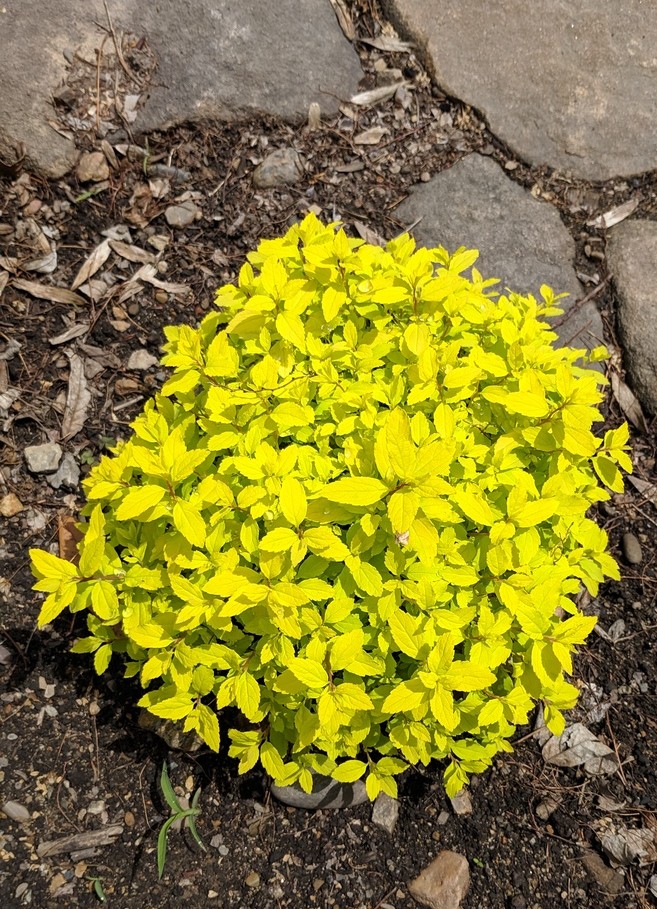 Первый слайд