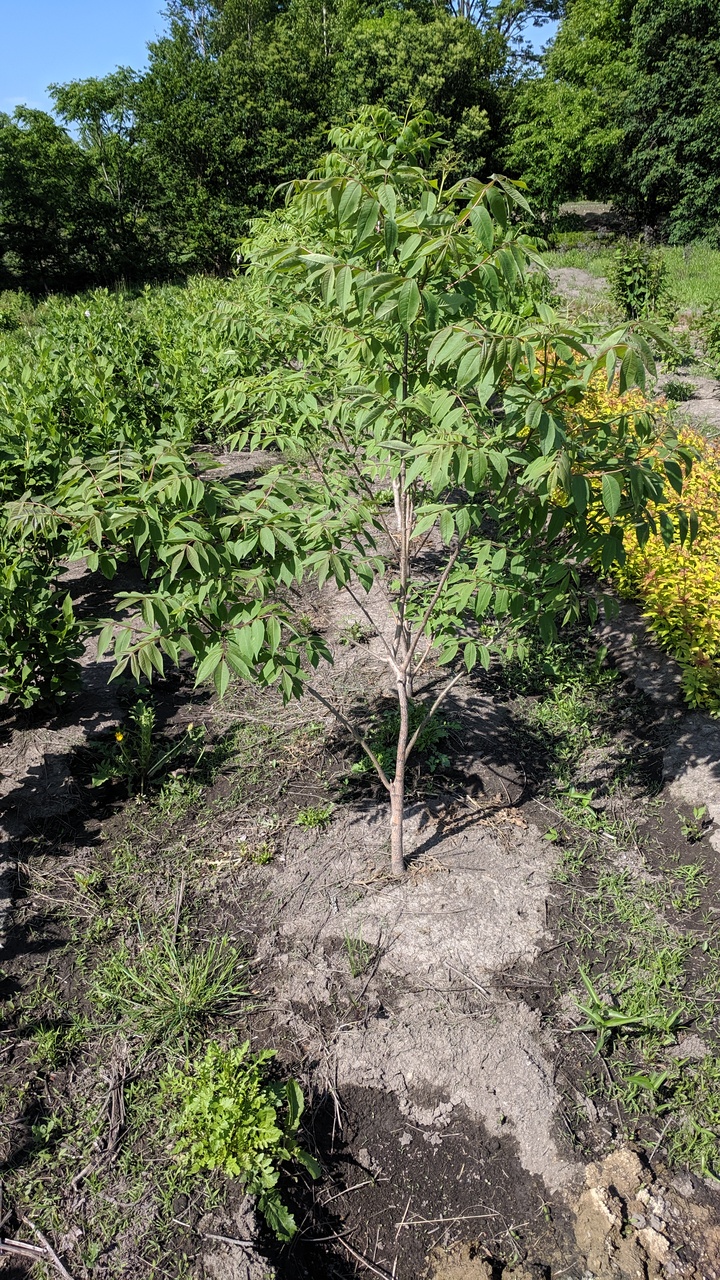 Первый слайд