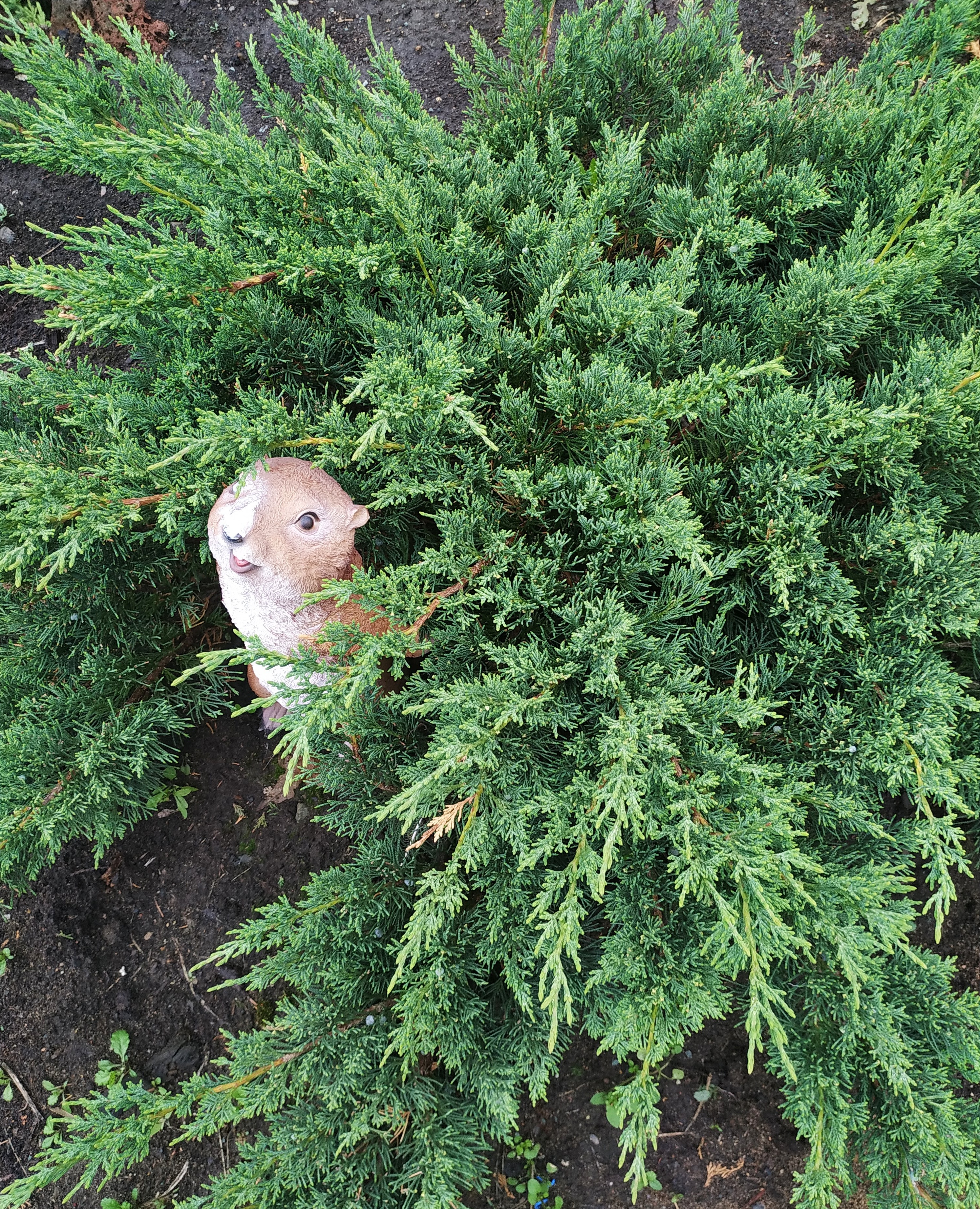 Первый слайд