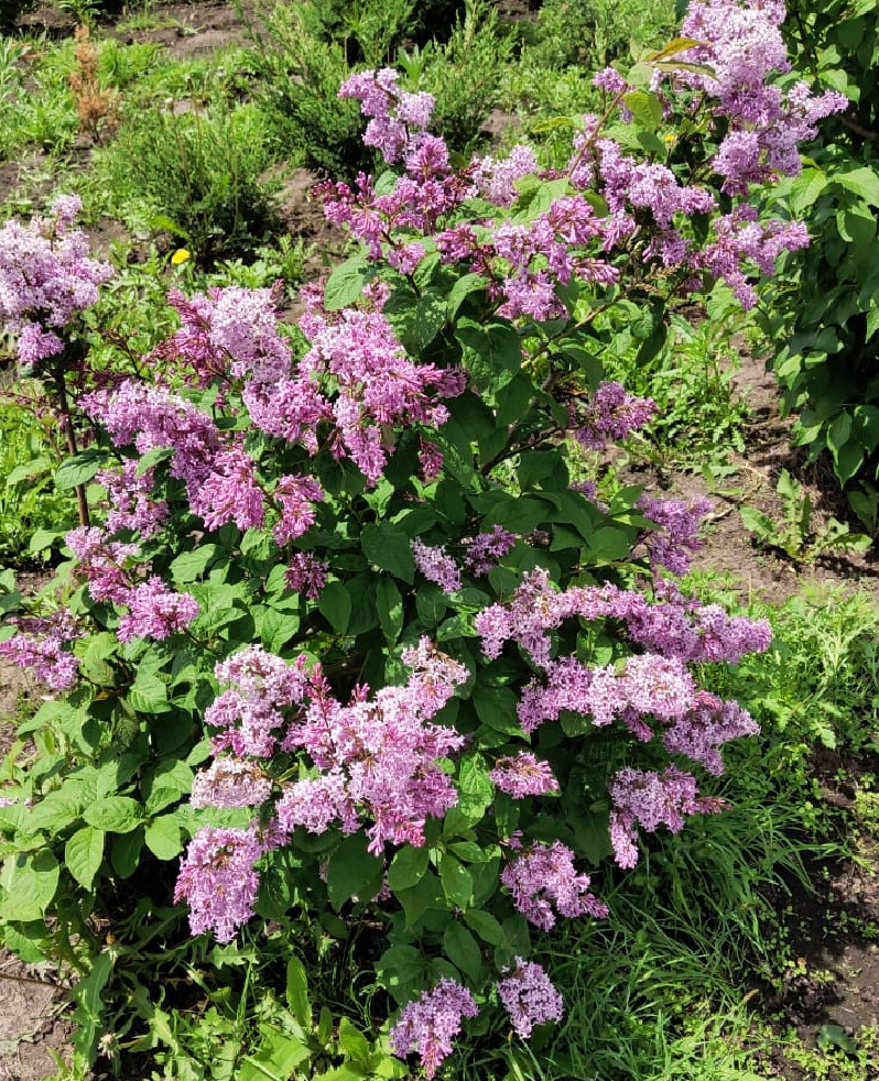 Первый слайд