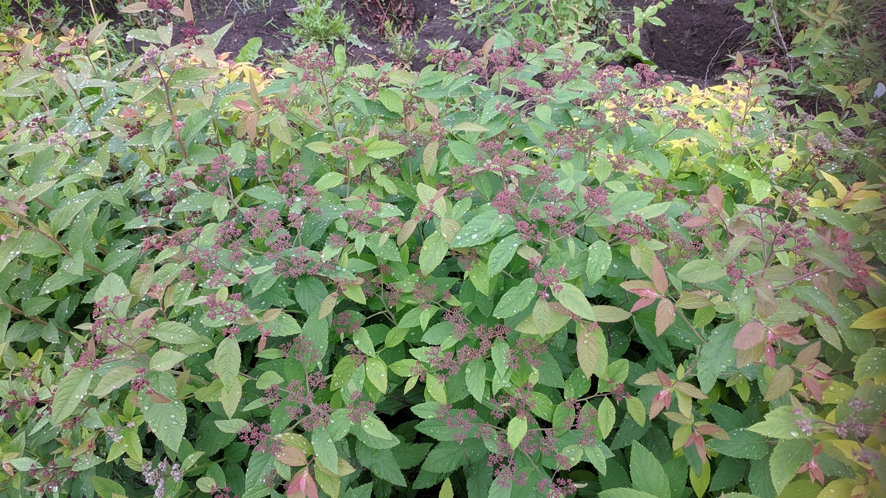 Первый слайд