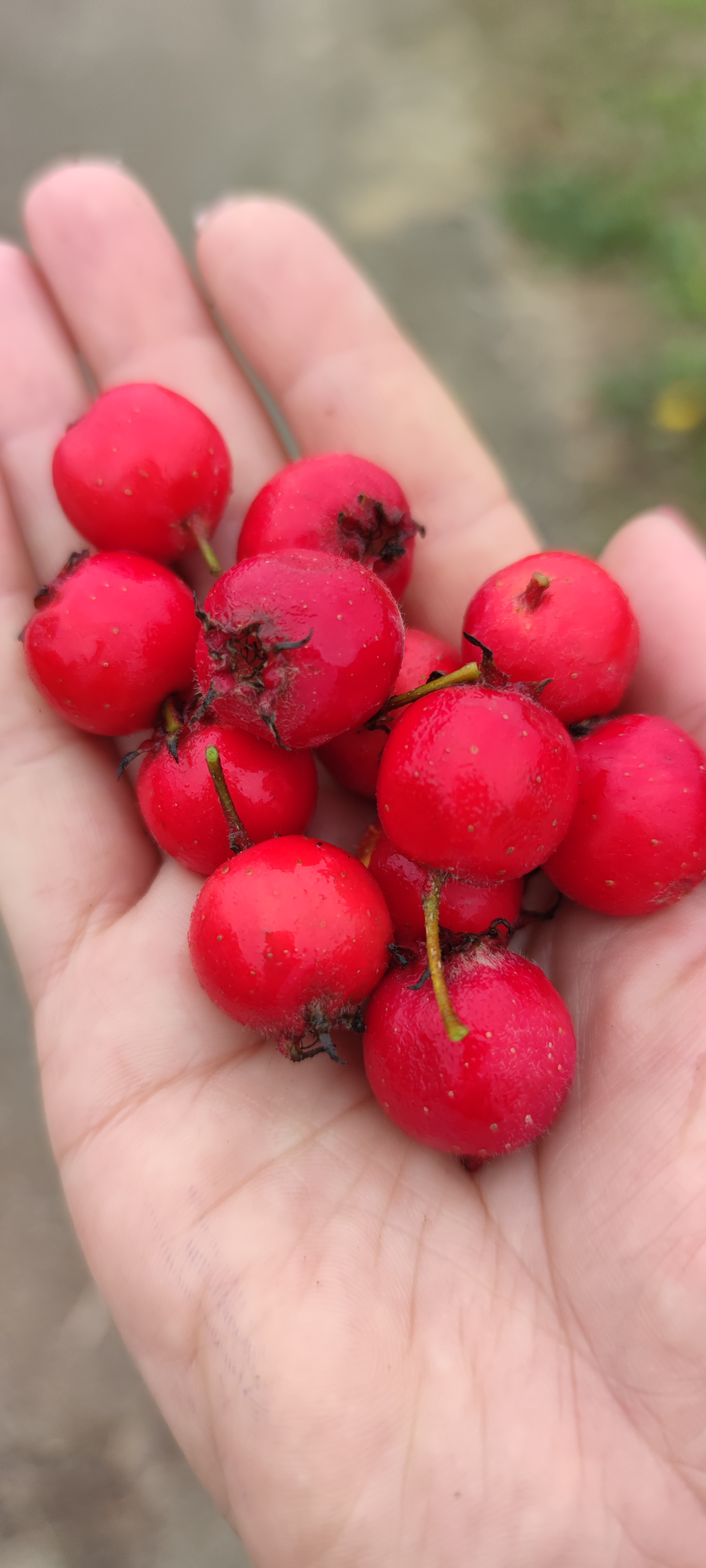 Первый слайд