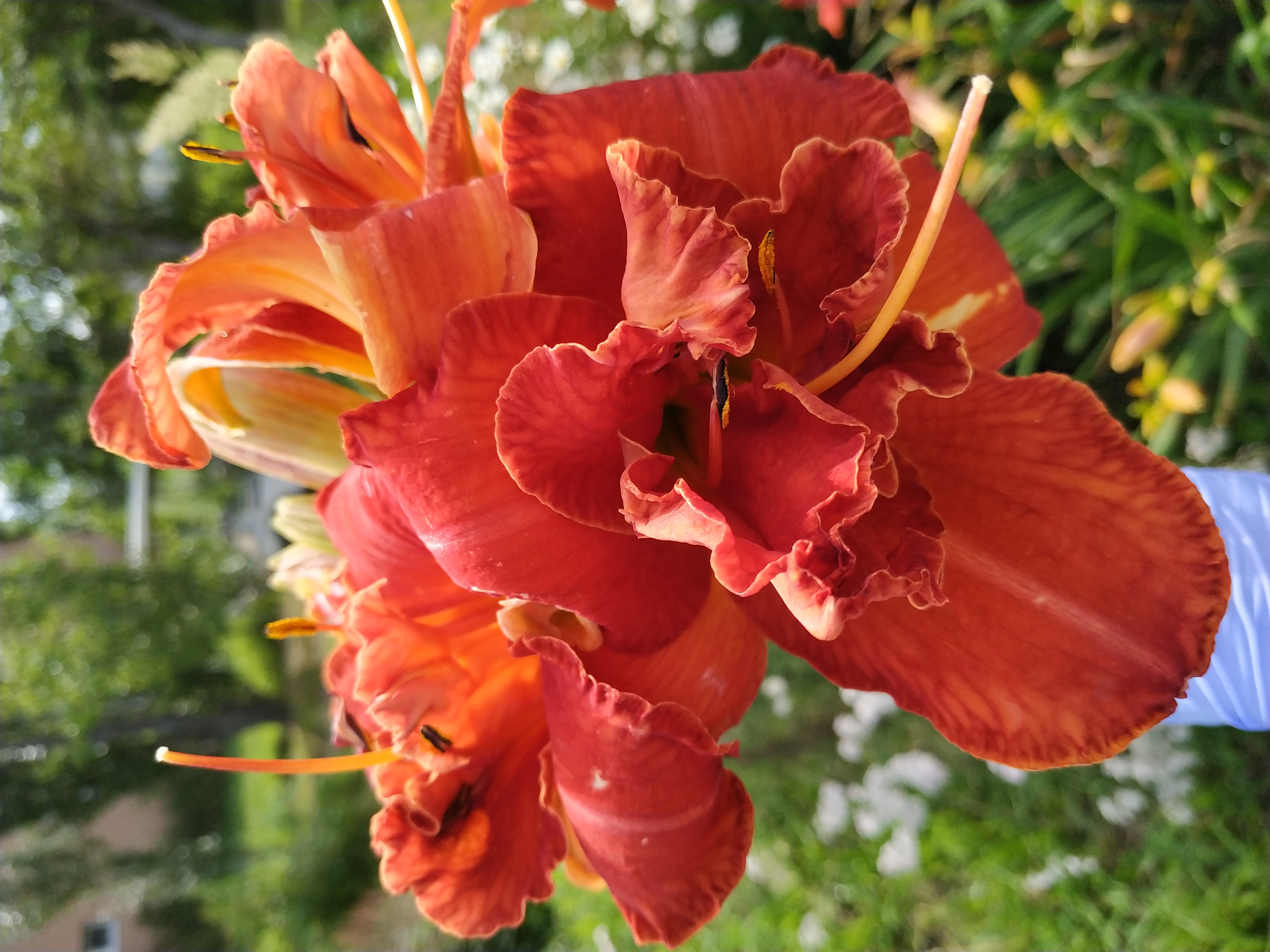 Первый слайд