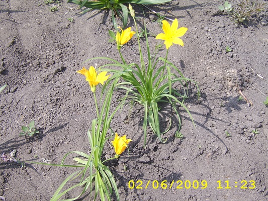 Первый слайд