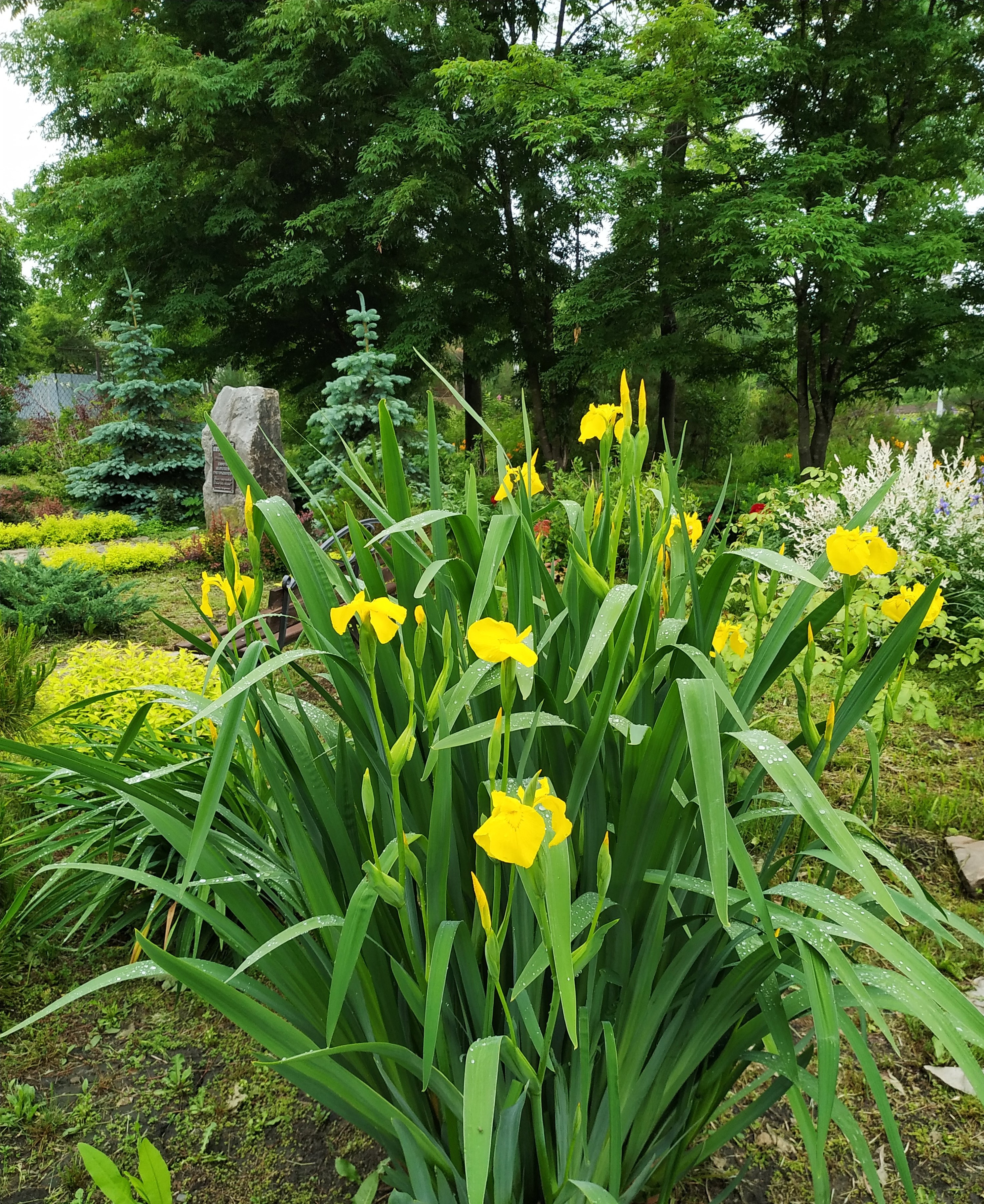 Первый слайд