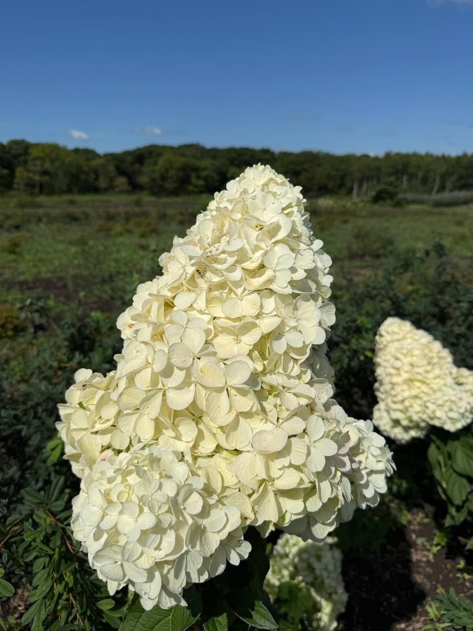 Первый слайд