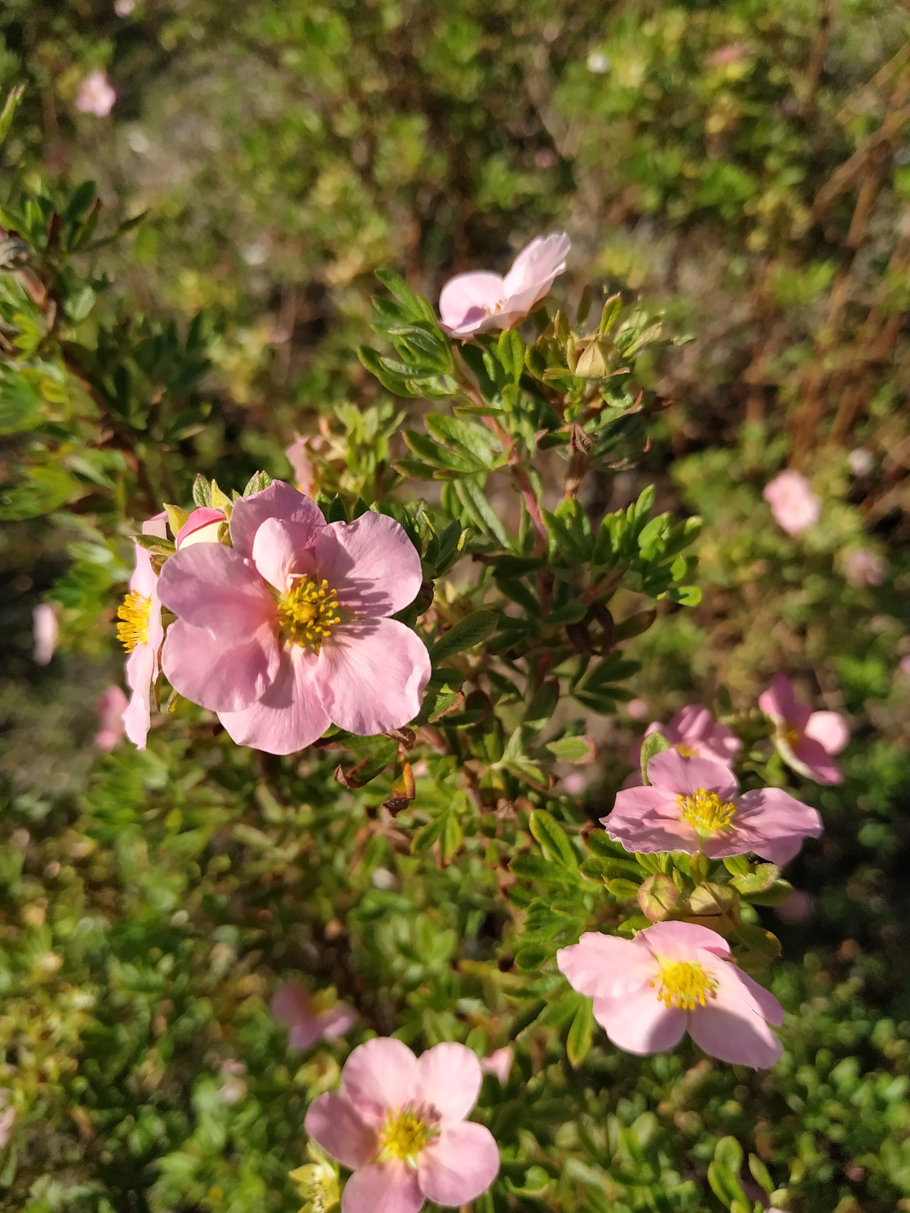 Первый слайд