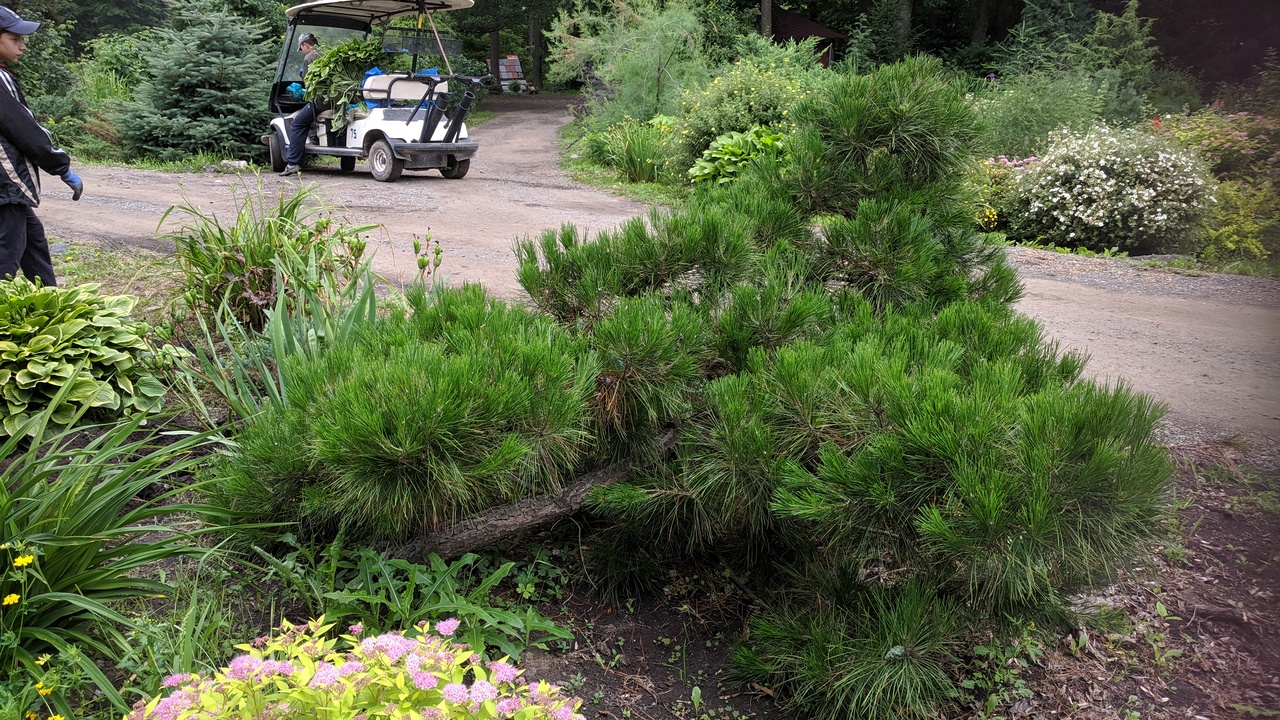 Первый слайд