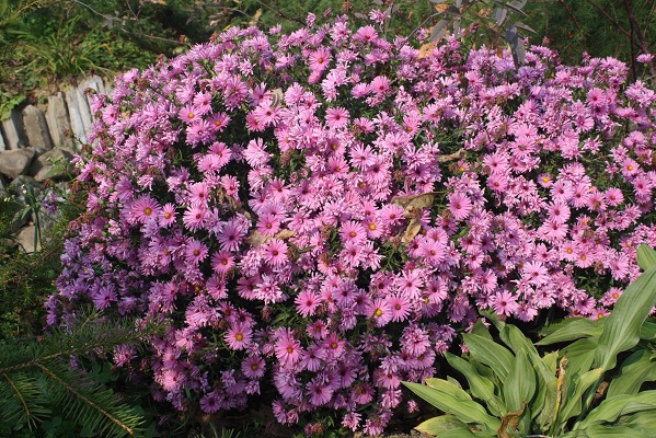 Первый слайд