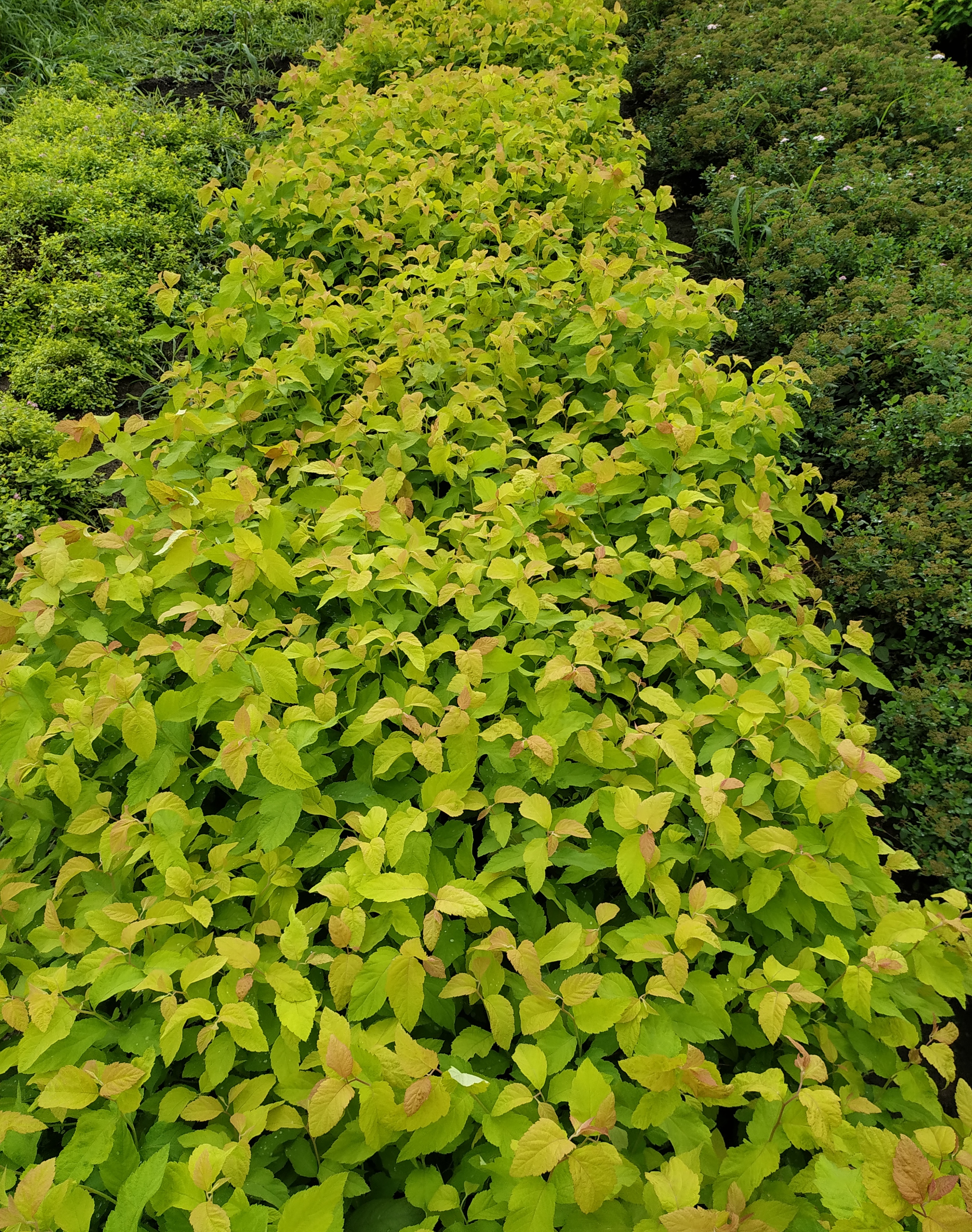 Первый слайд