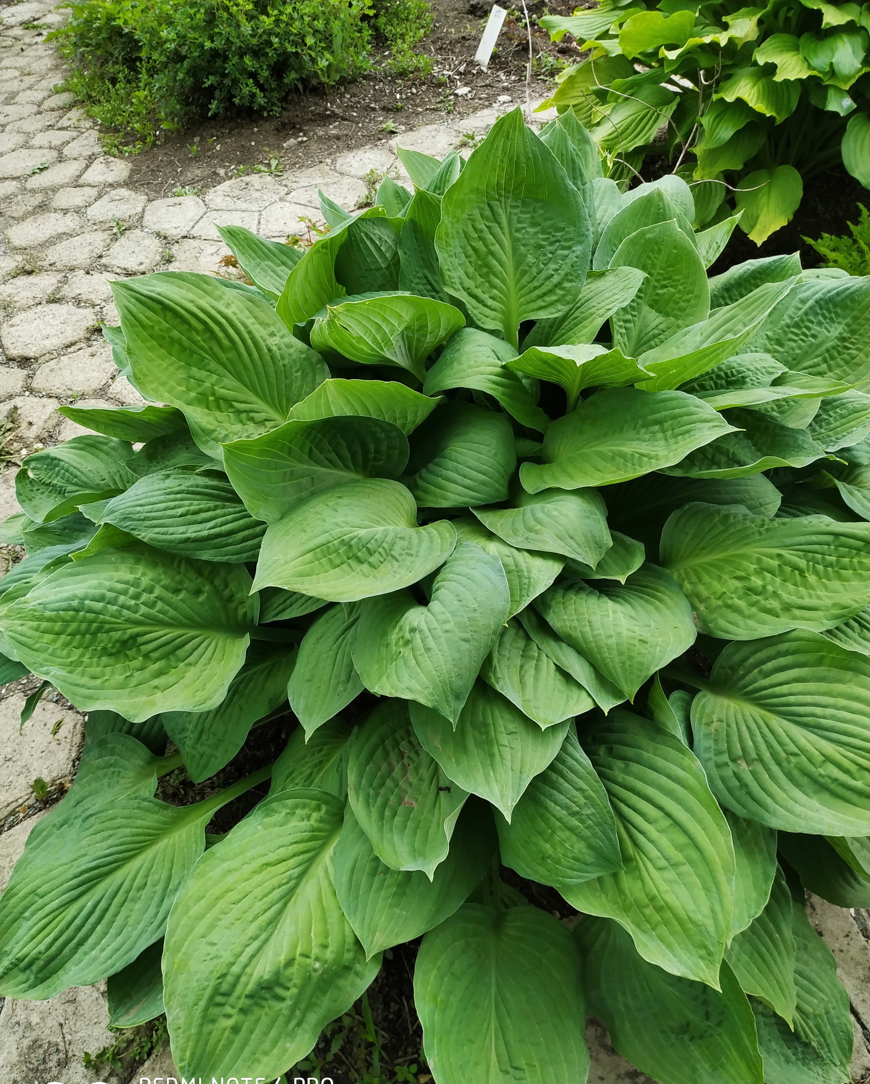 Первый слайд