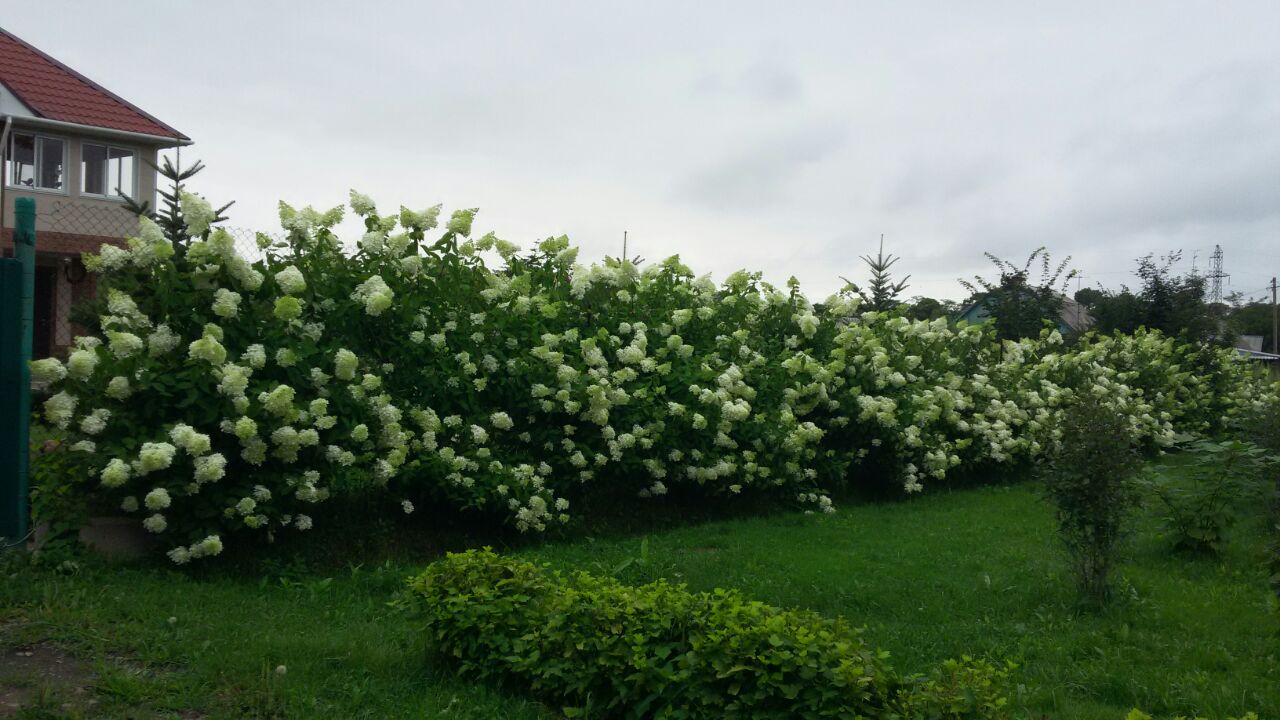 Первый слайд