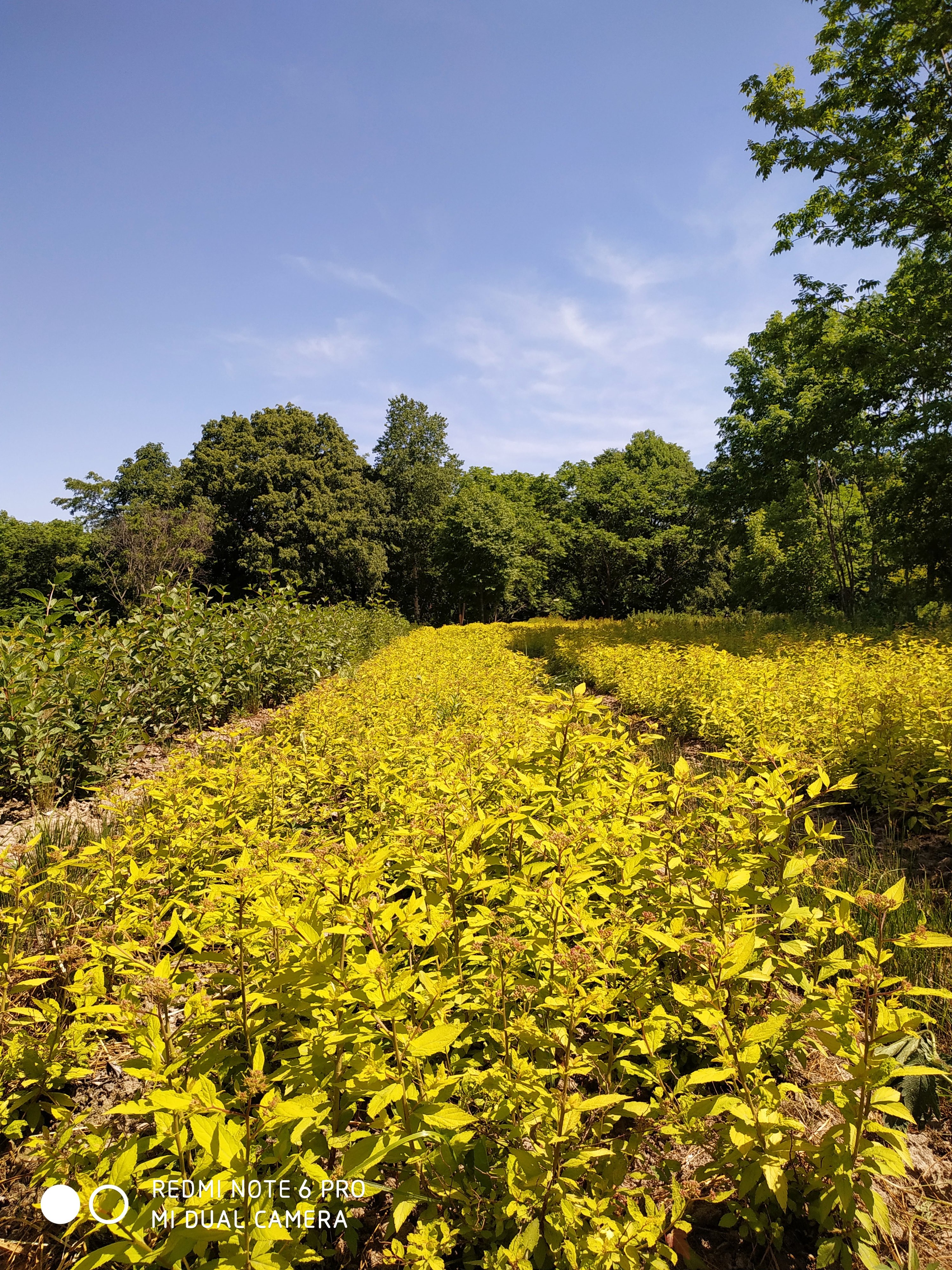 Первый слайд