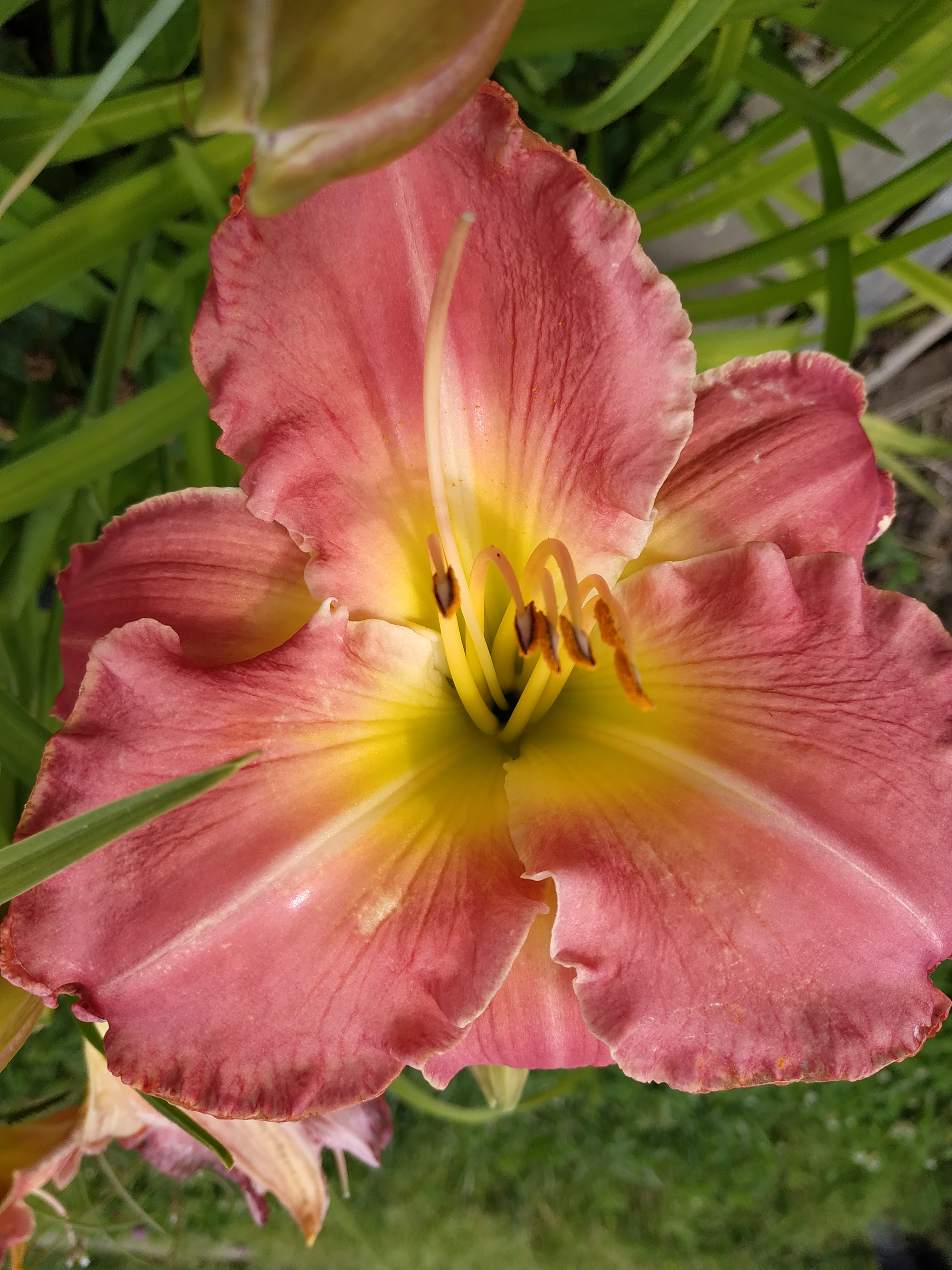 Первый слайд