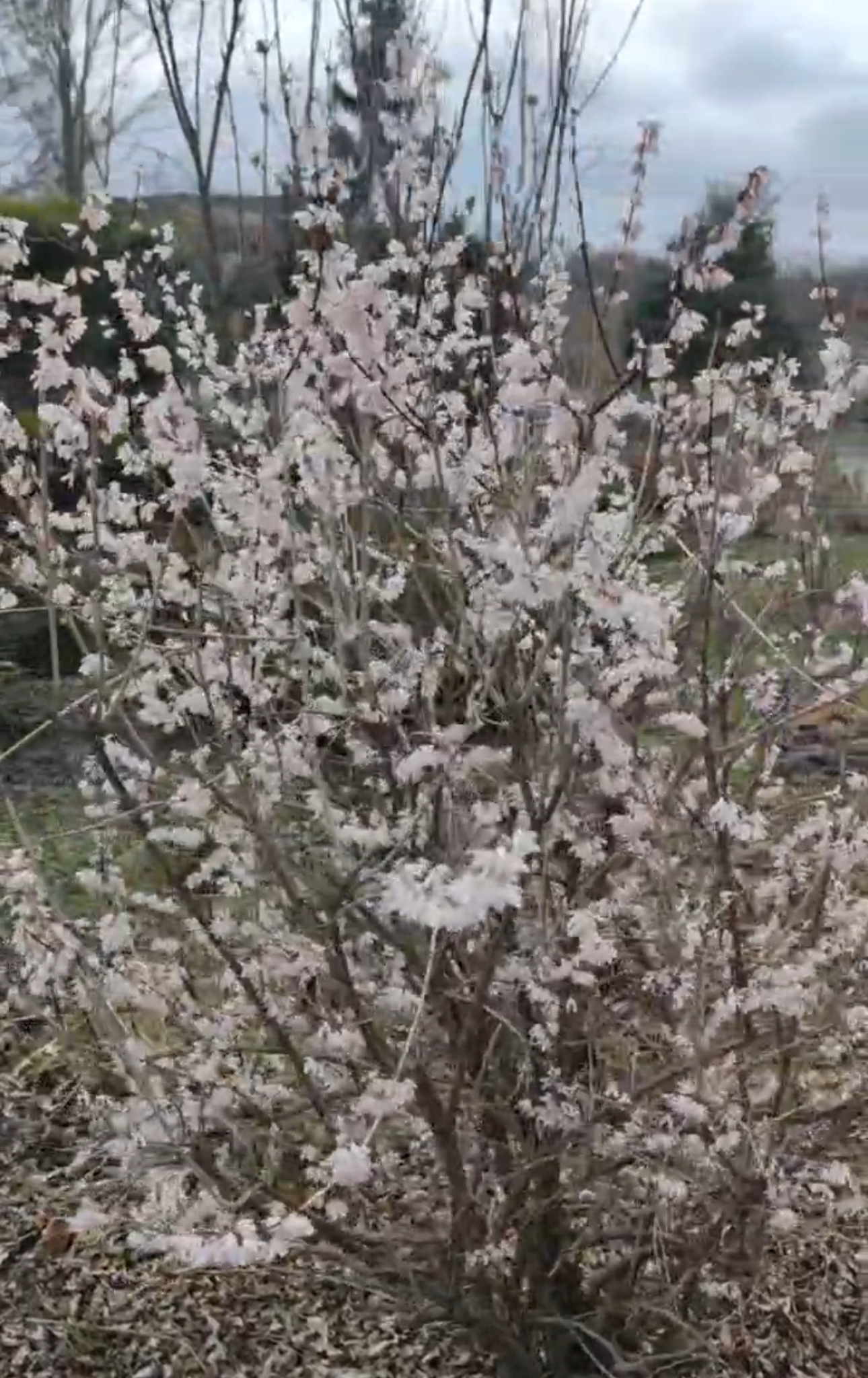 Первый слайд