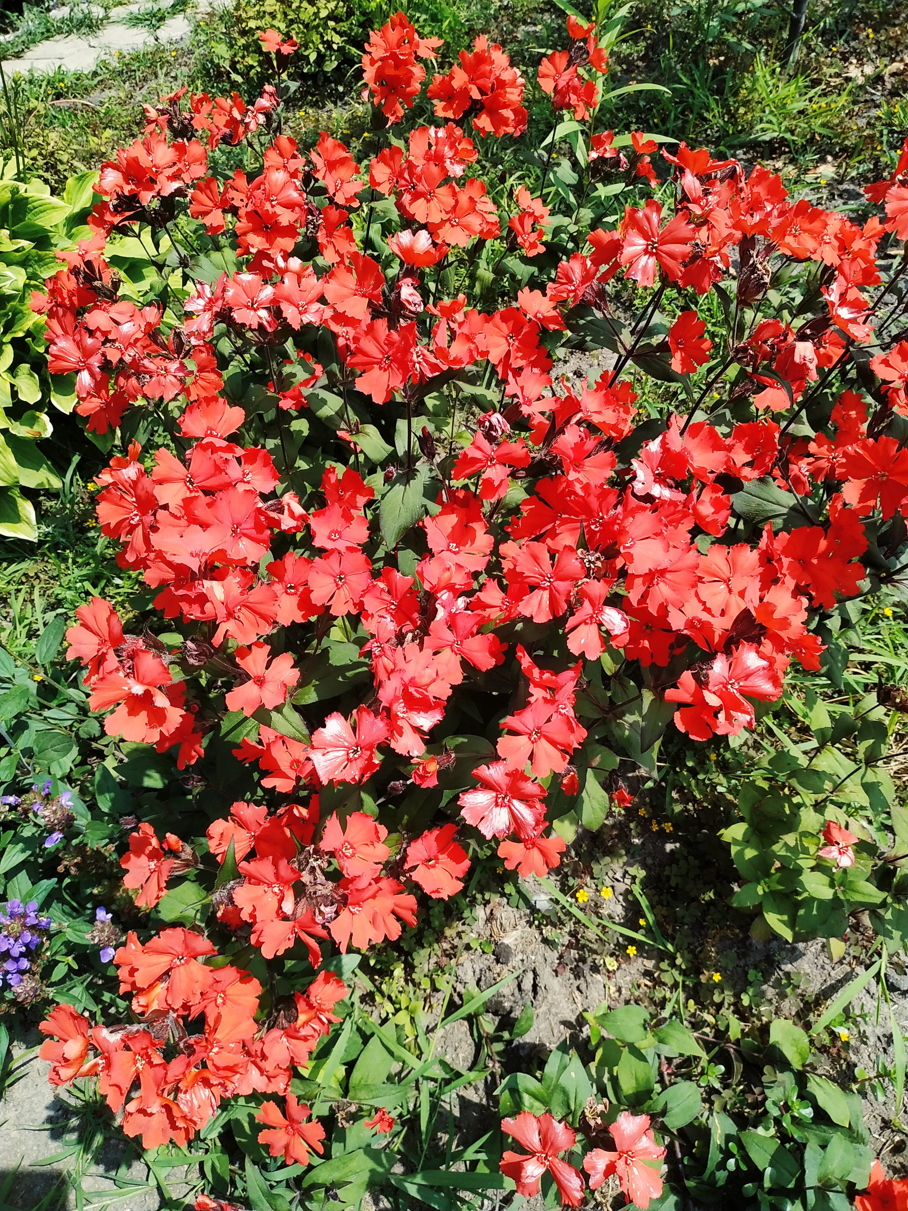 Первый слайд